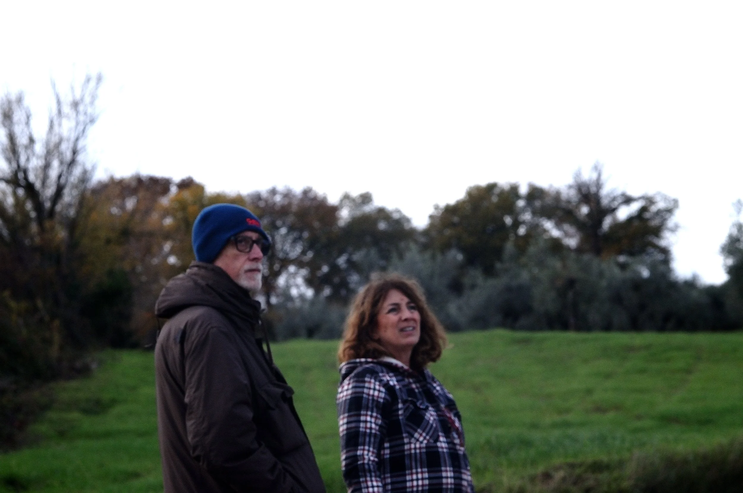 ghenga color2_895.JPG