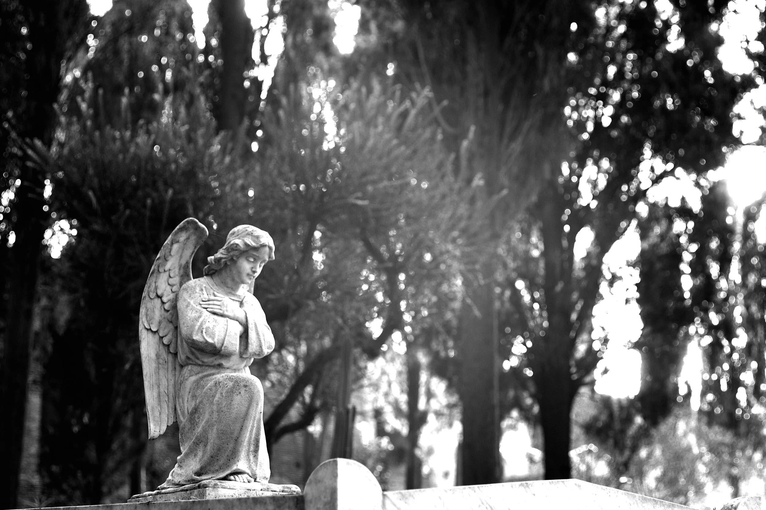 acattolico angelo2_2118.JPG