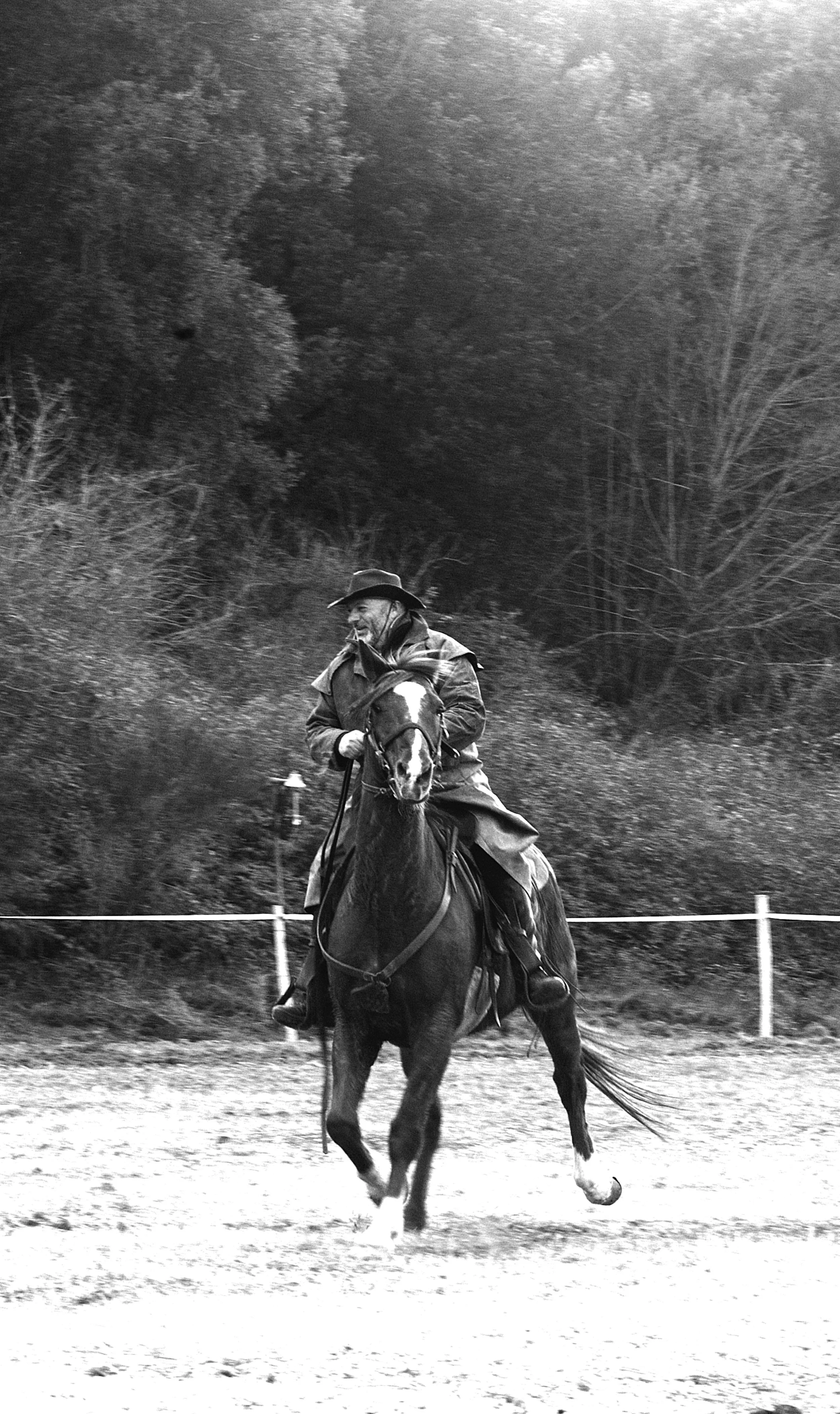 a cavallo a carnevale_4663.JPG