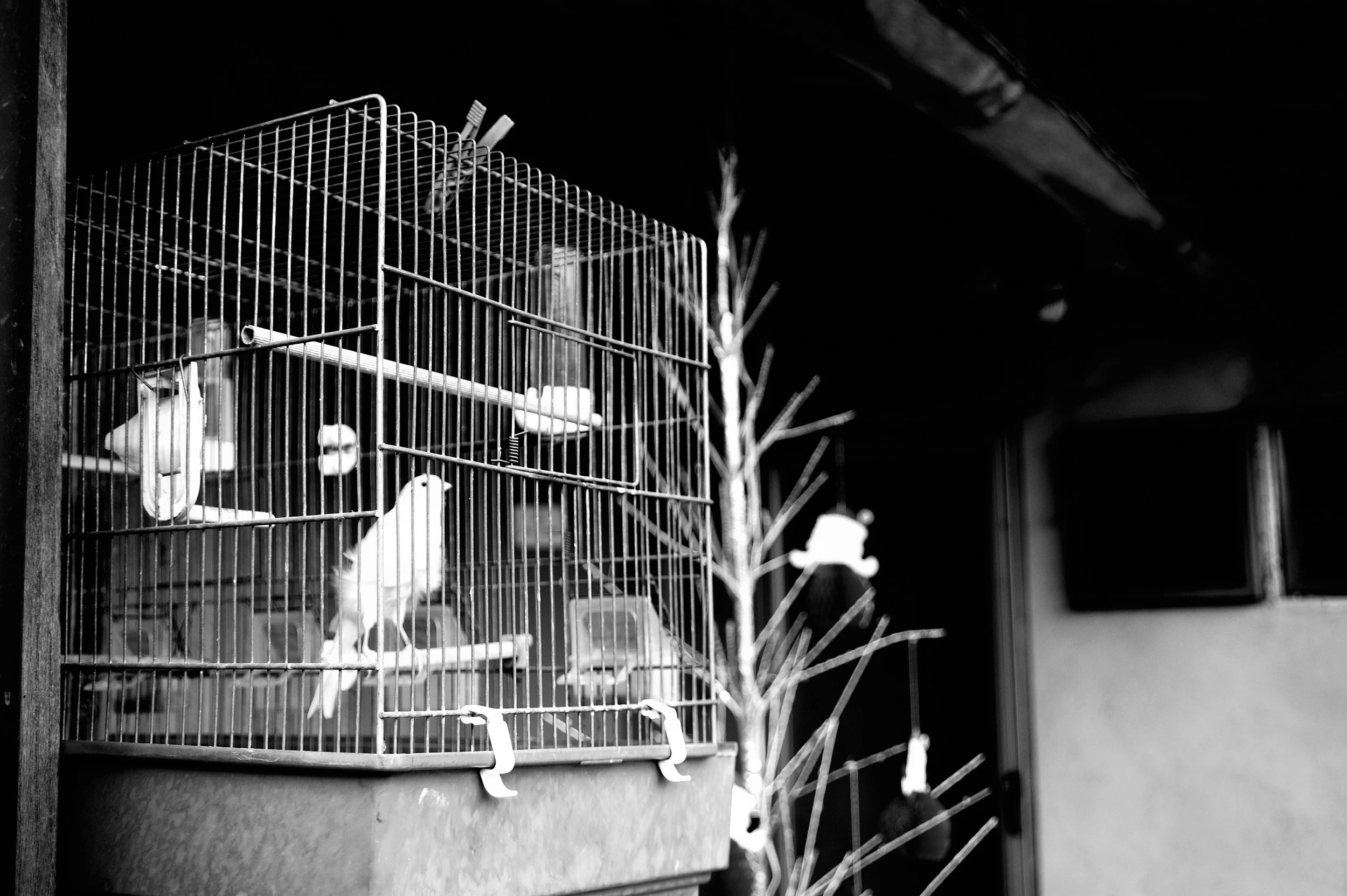 quartiere italia _3074.JPG