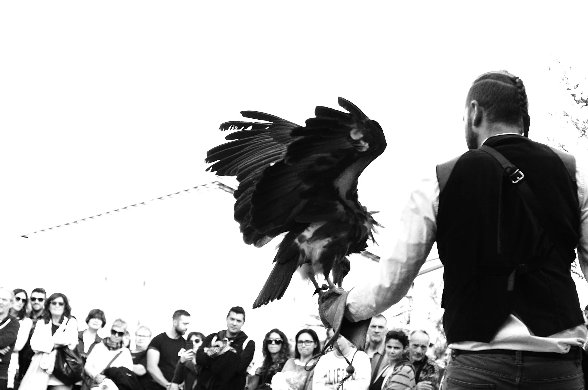 a cavallo a carnevale_5185.JPG
