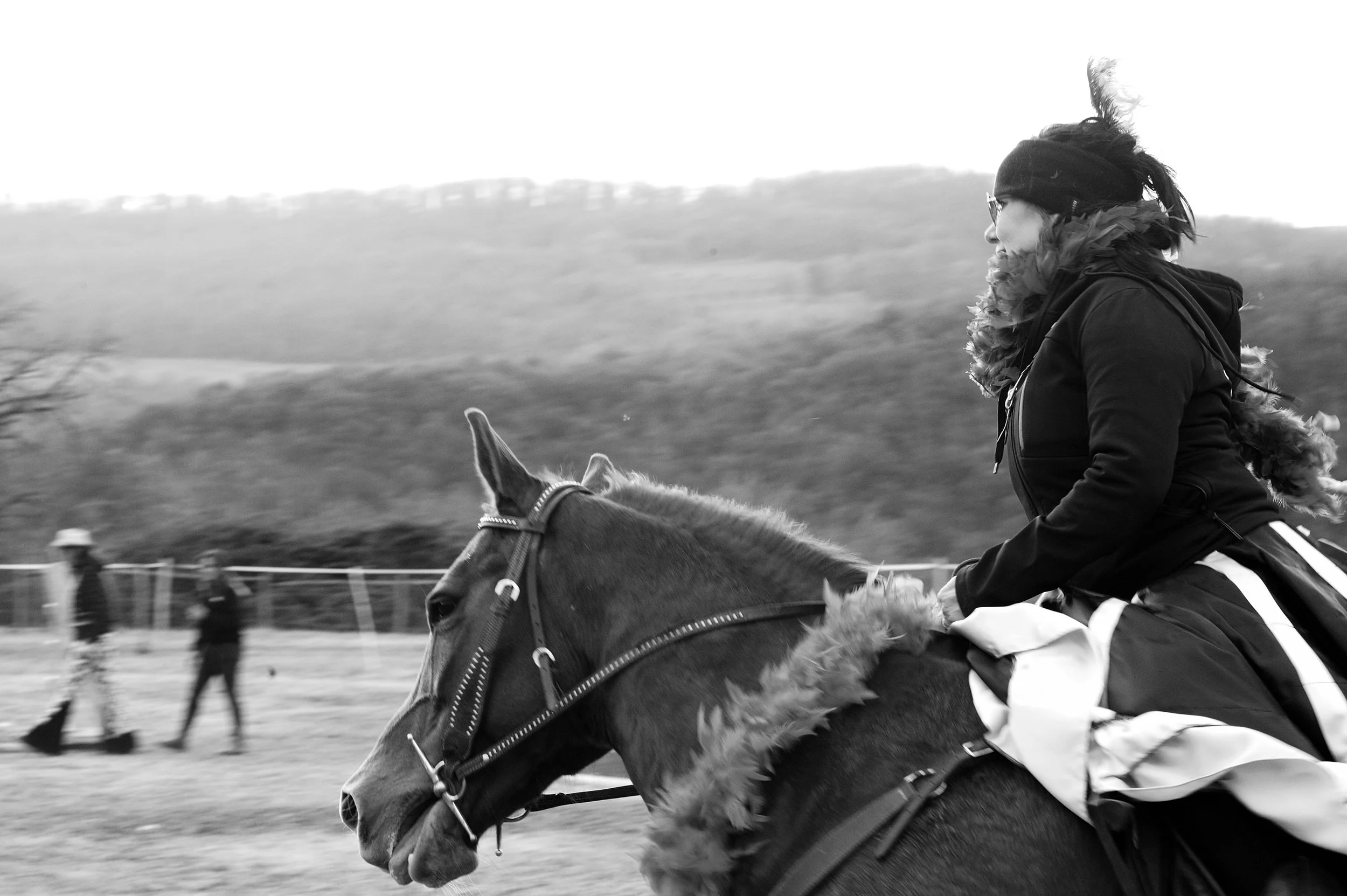 a cavallo a carnevale_4652.JPG