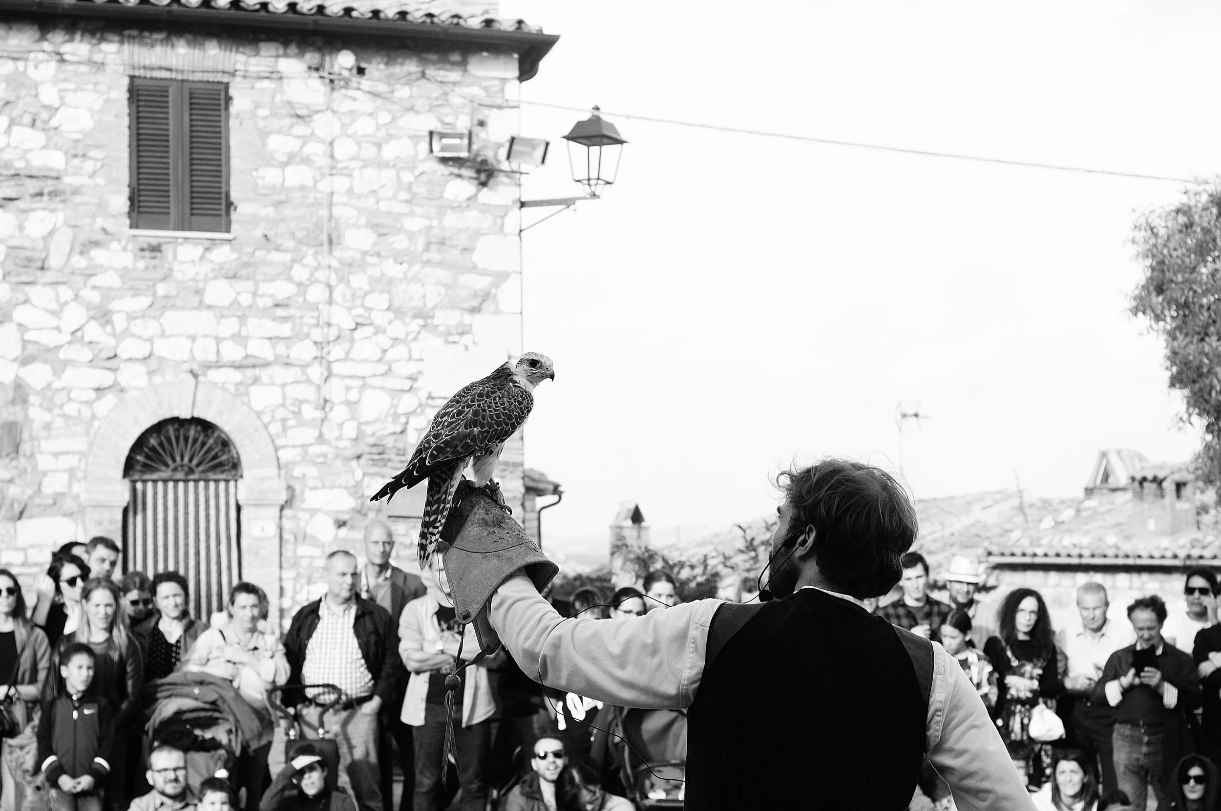 a cavallo a carnevale_5192.JPG