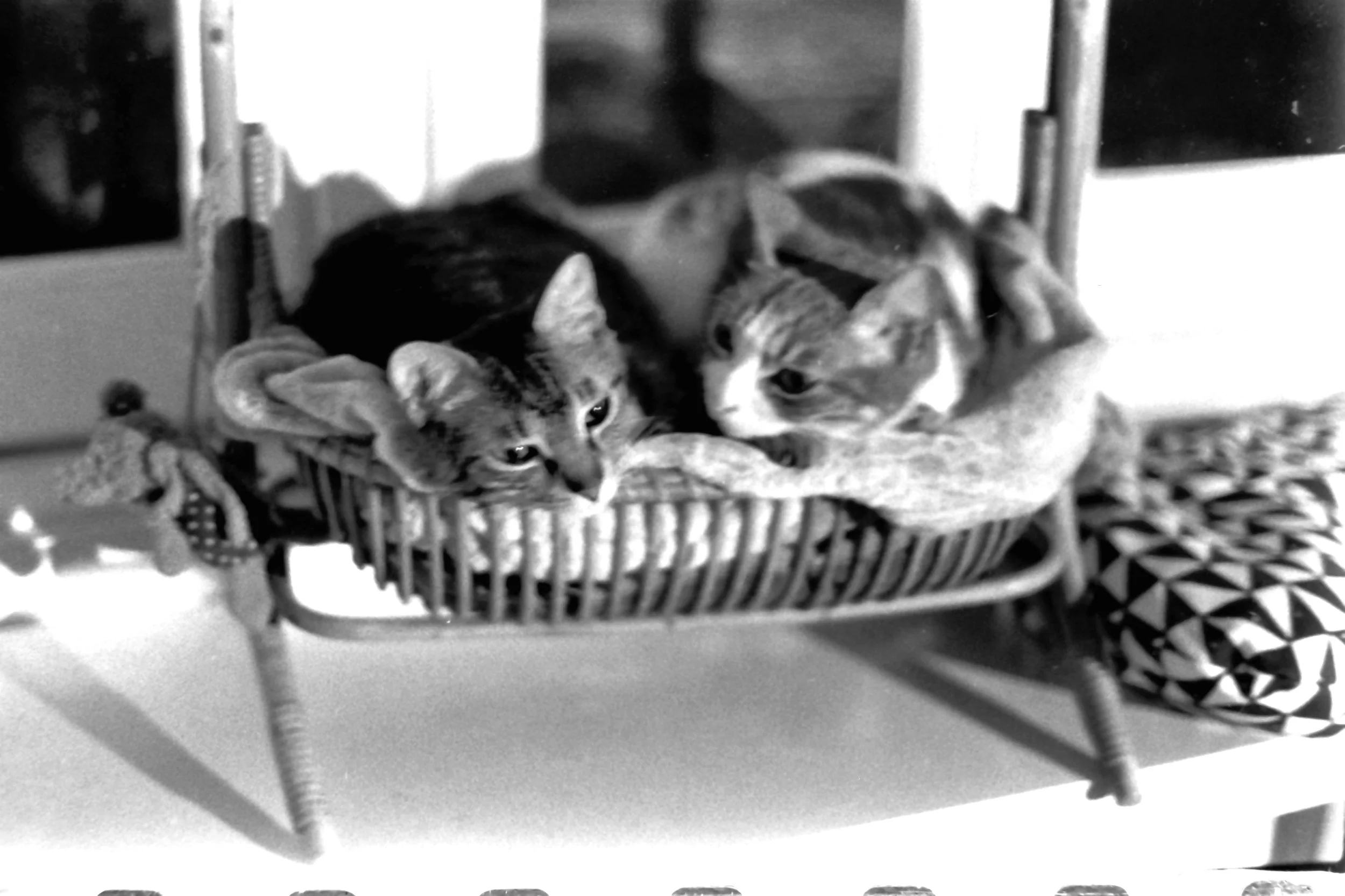 genova primo maggio seconde_7533.JPG