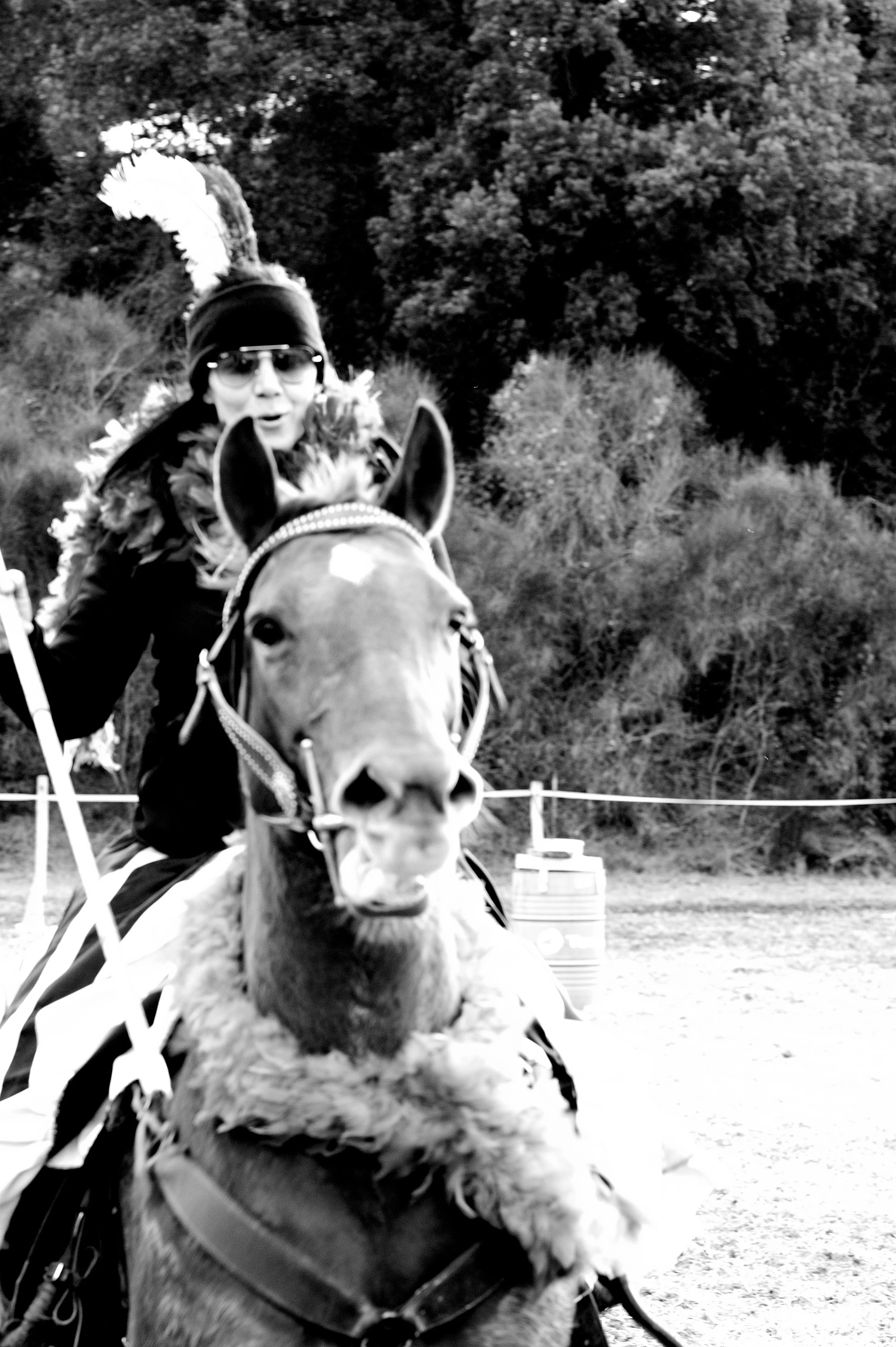 a cavallo a carnevale_4648.JPG