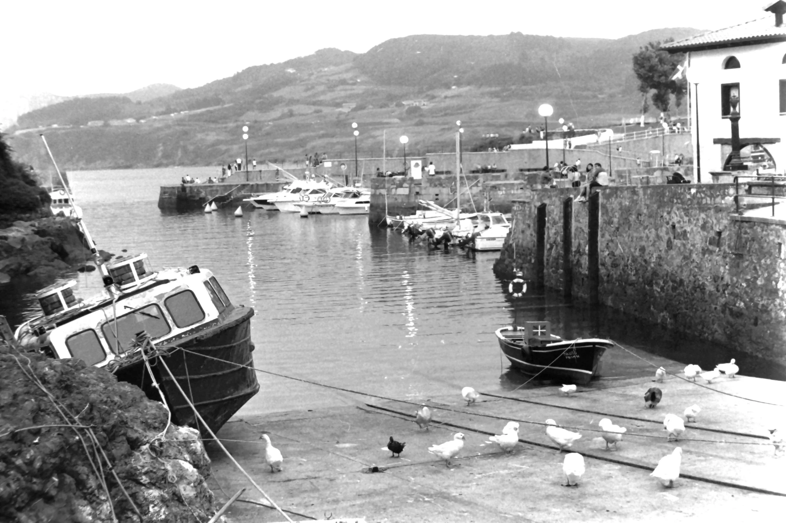 bilbao porticciolo_1677.JPG