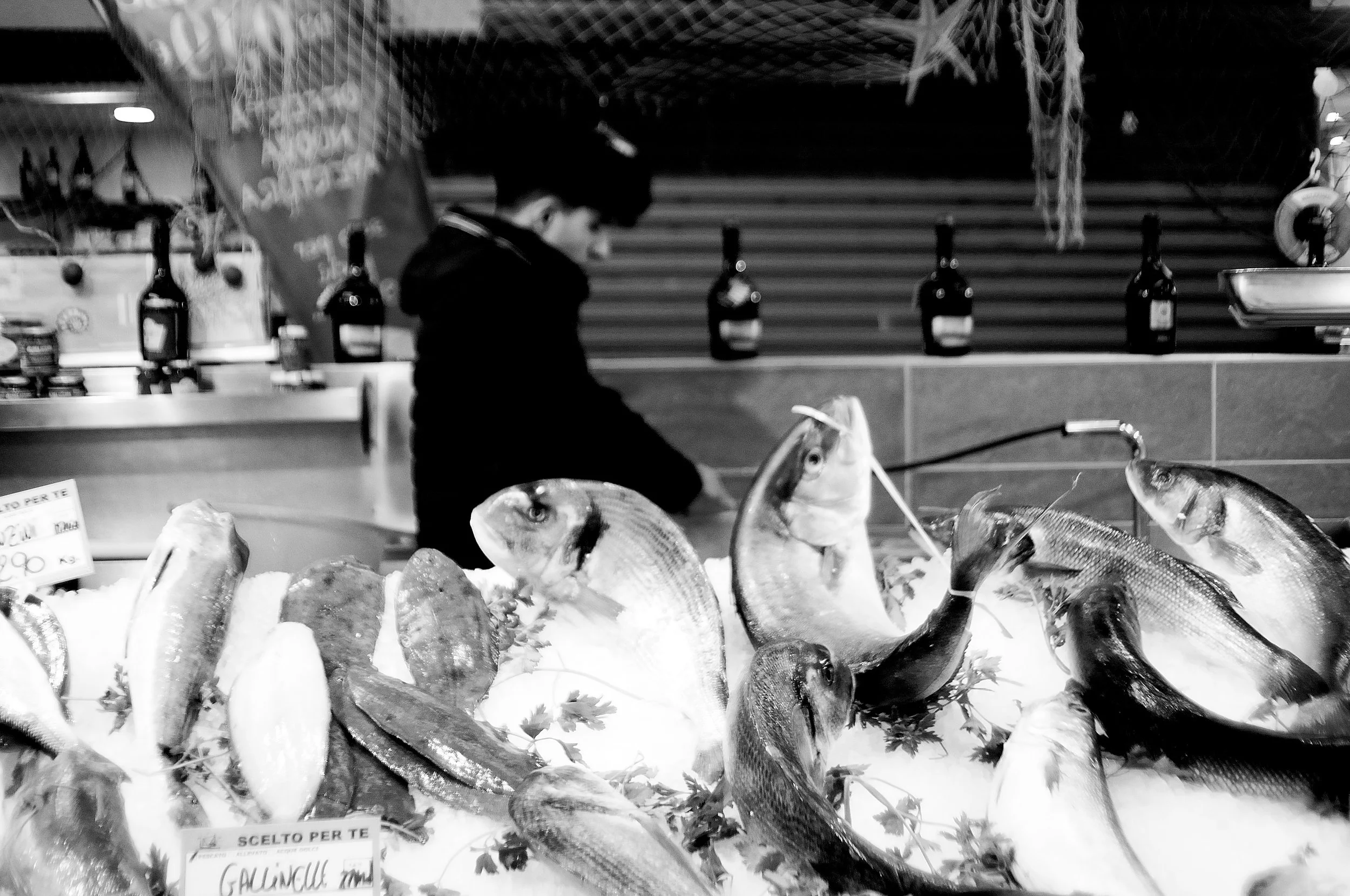 pesci genova_521.JPG