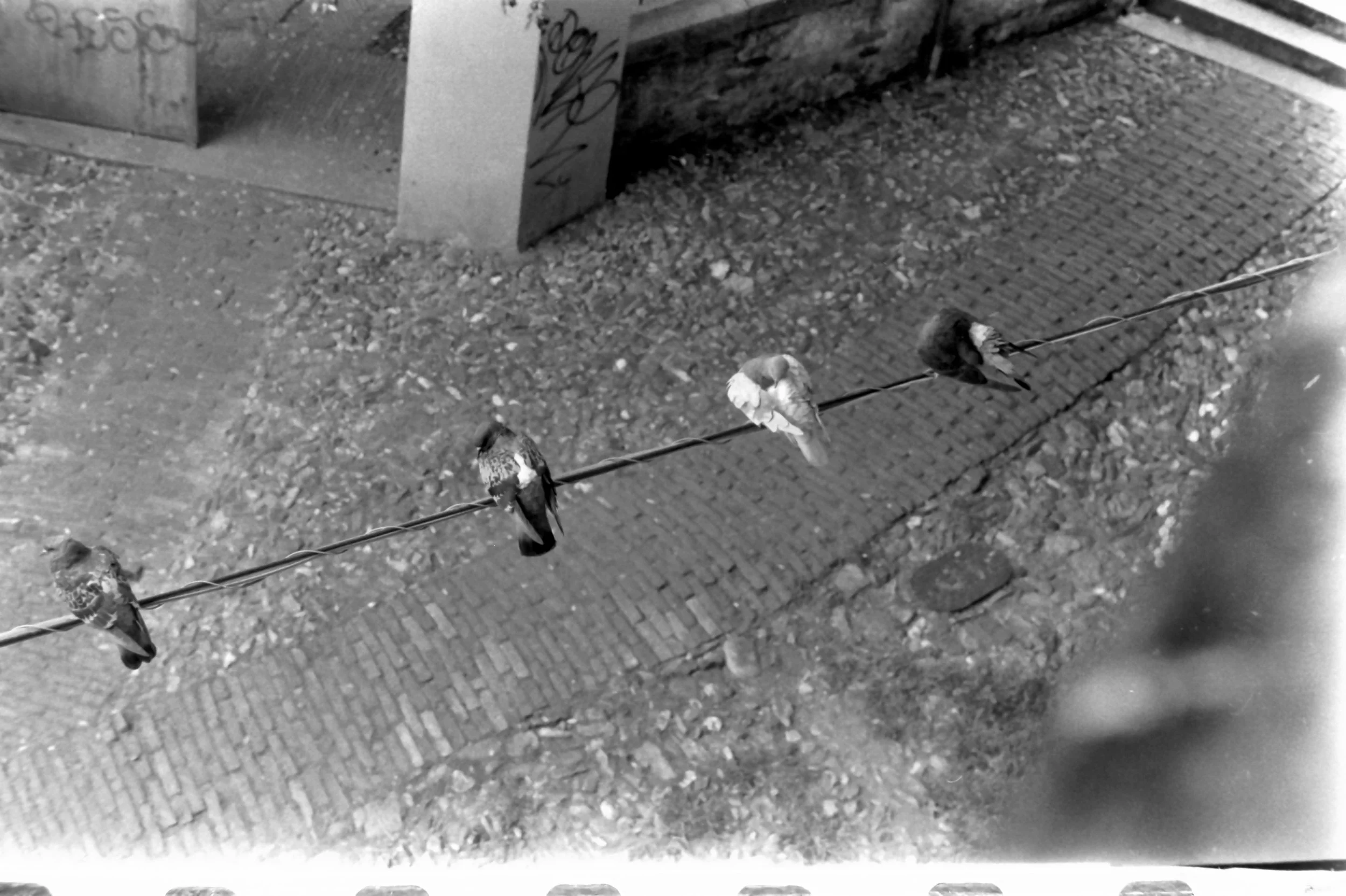 genova 1 maggio and around_7417.JPG