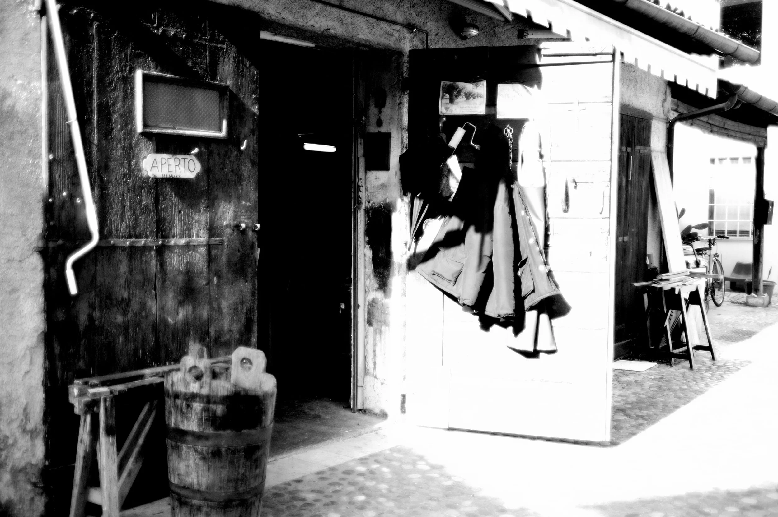 a cavallo a carnevale_4778.JPG