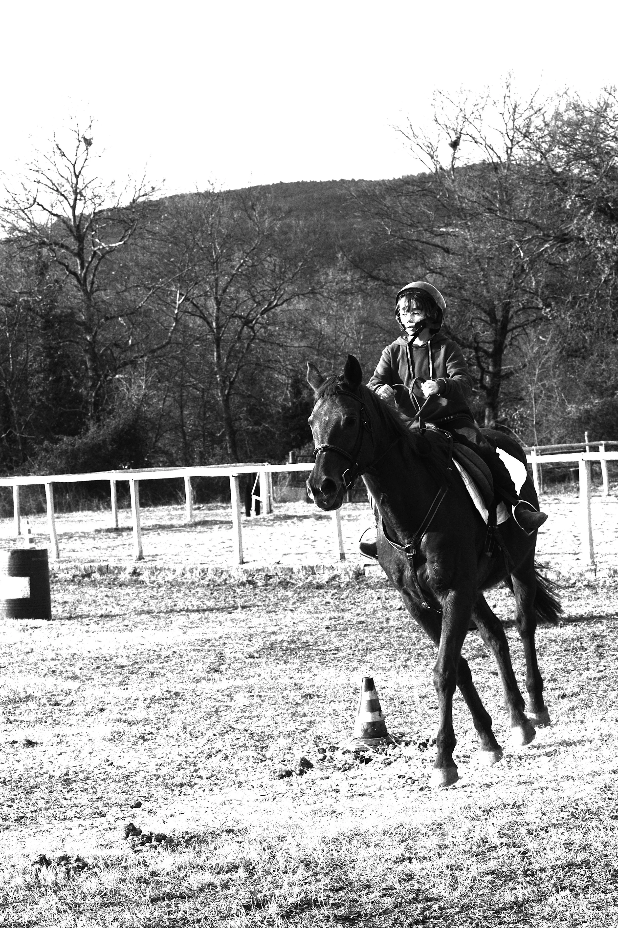 a cavallo a carnevale_4626.JPG