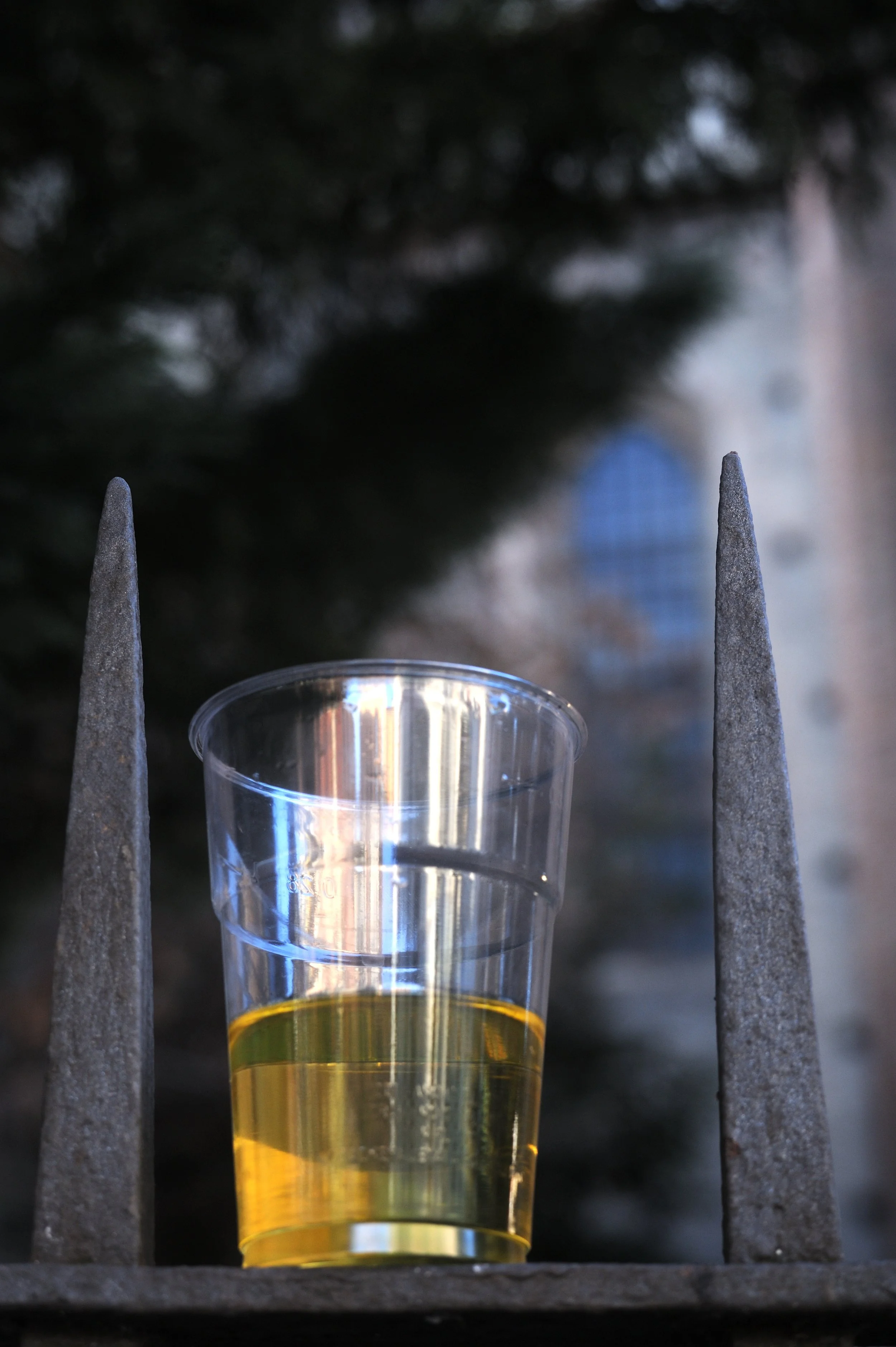 bologna a febbraio_4093.JPG