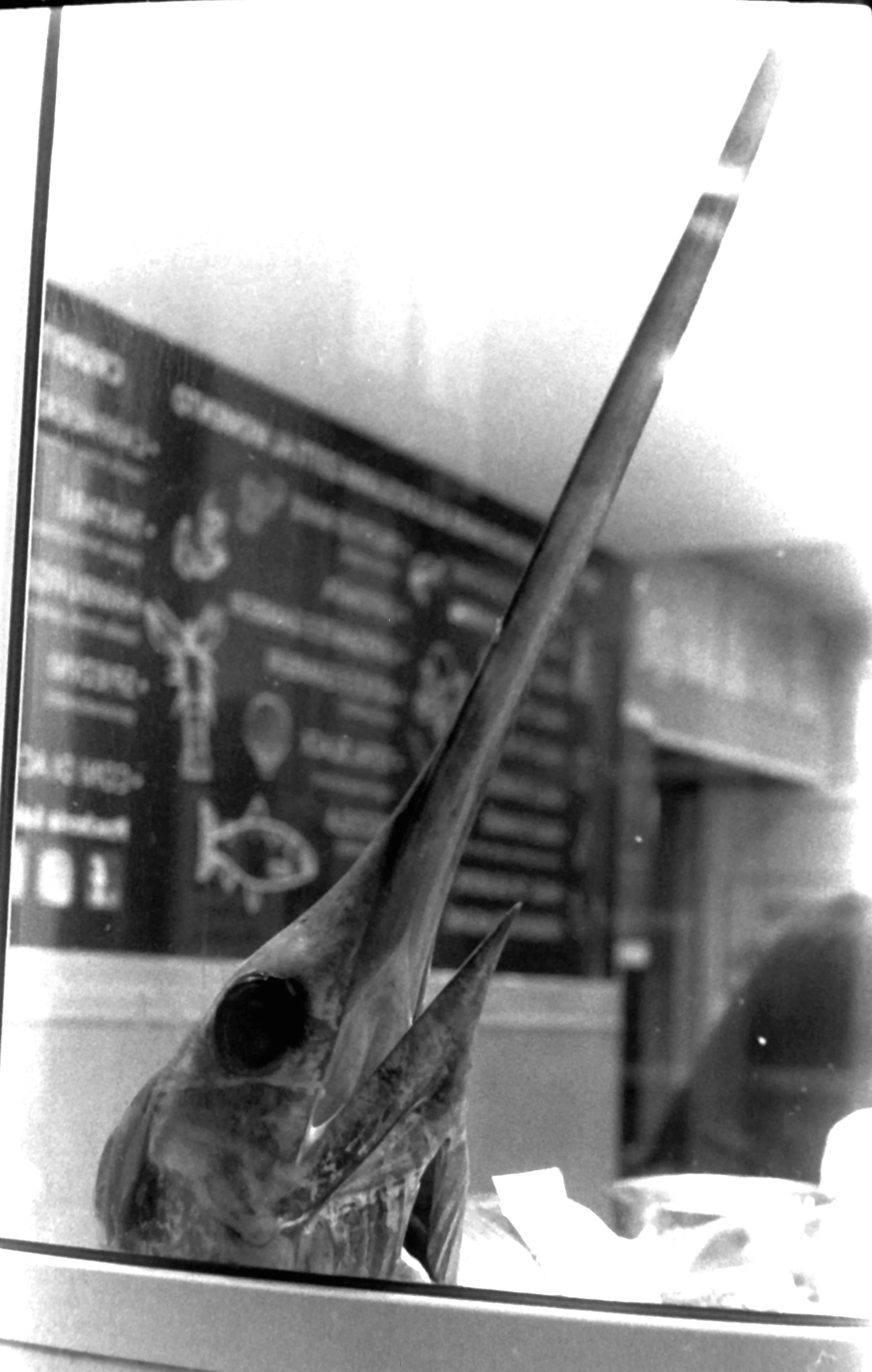 genova primo maggio quarte_7628.JPG