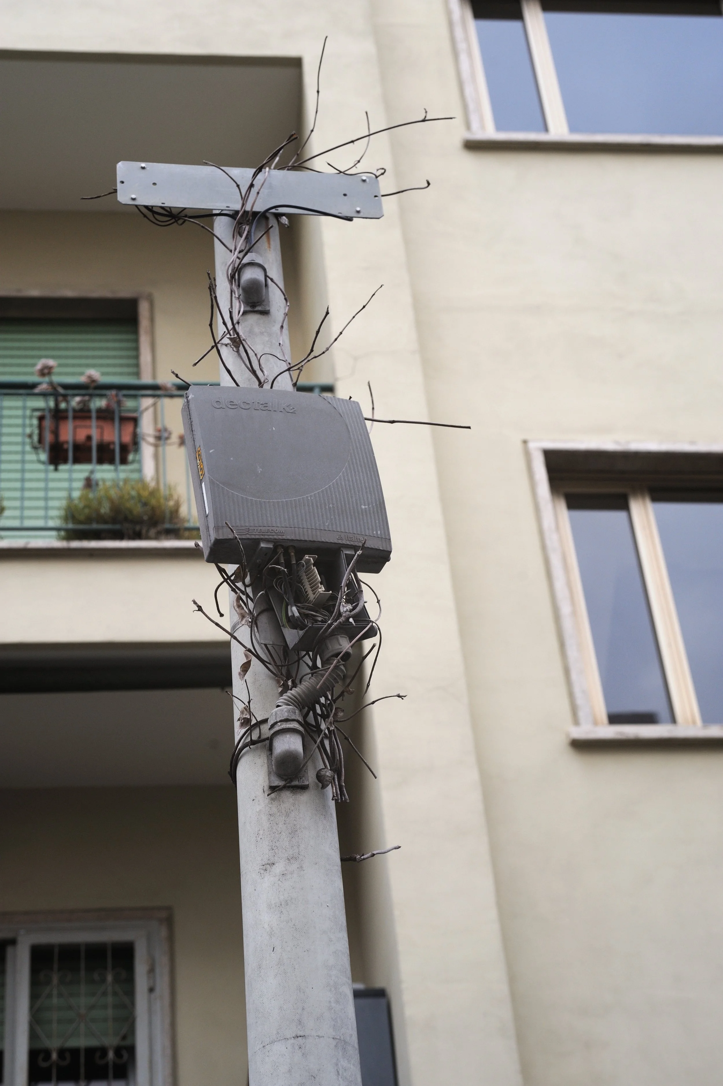 a cavallo a carnevale_4730.JPG