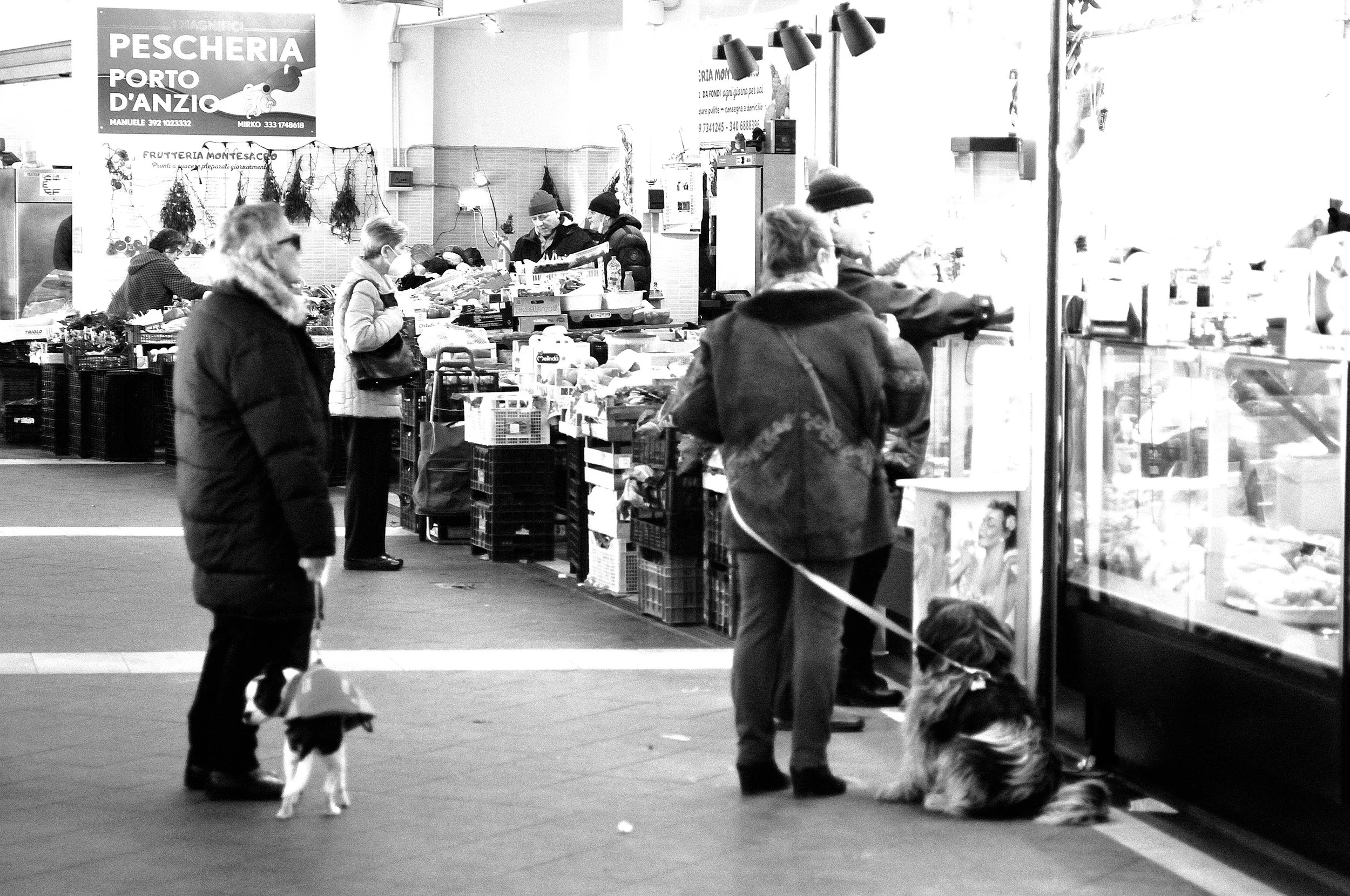 ple adriatico mercato2_1302.JPG