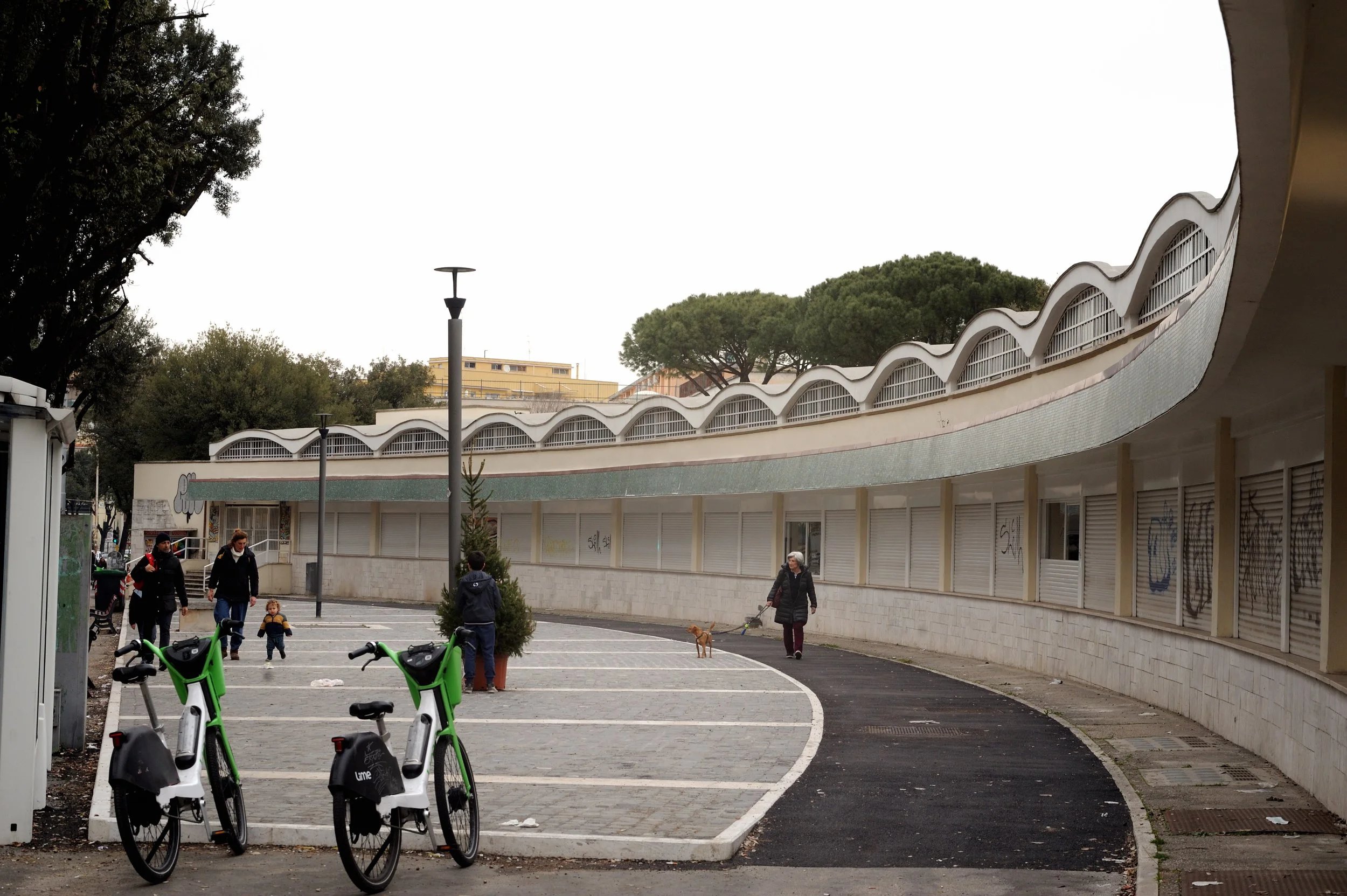 a cavallo a carnevale_4713.JPG