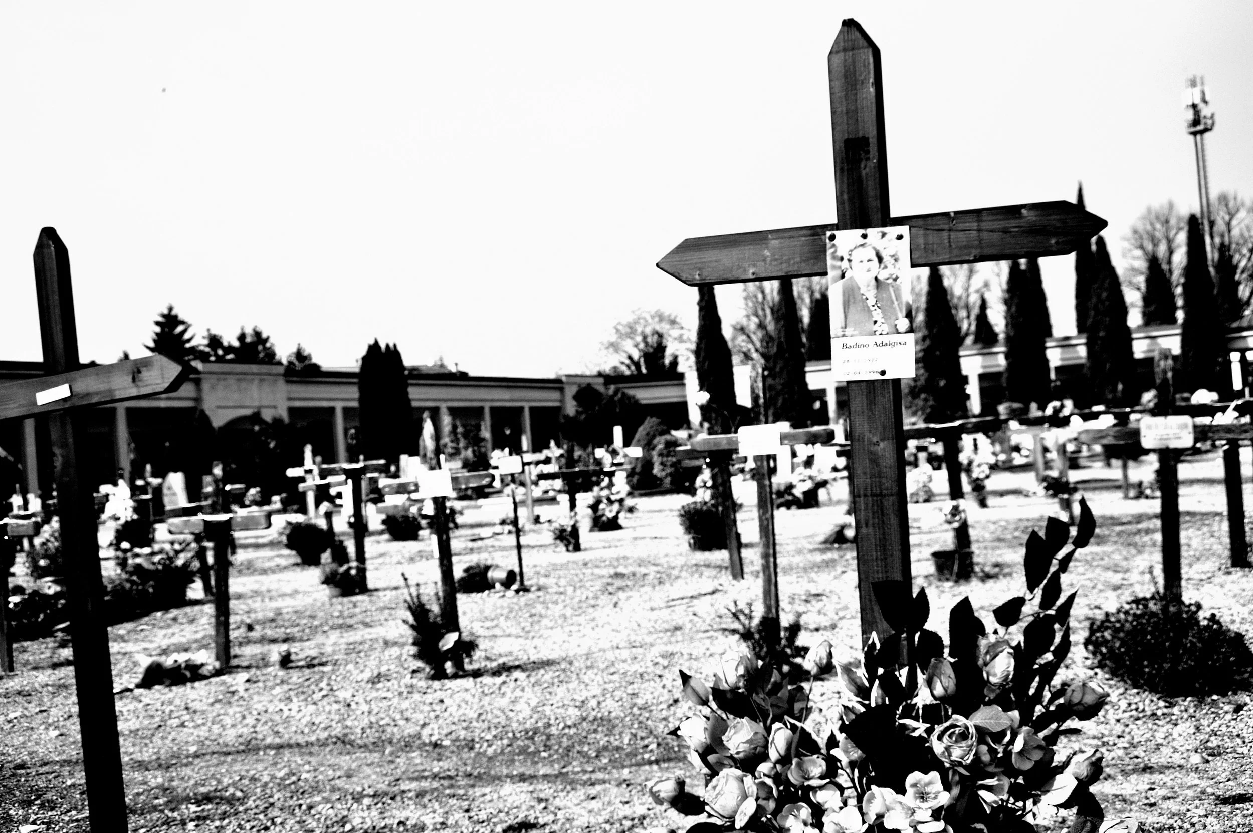 a cavallo a carnevale_4829.JPG