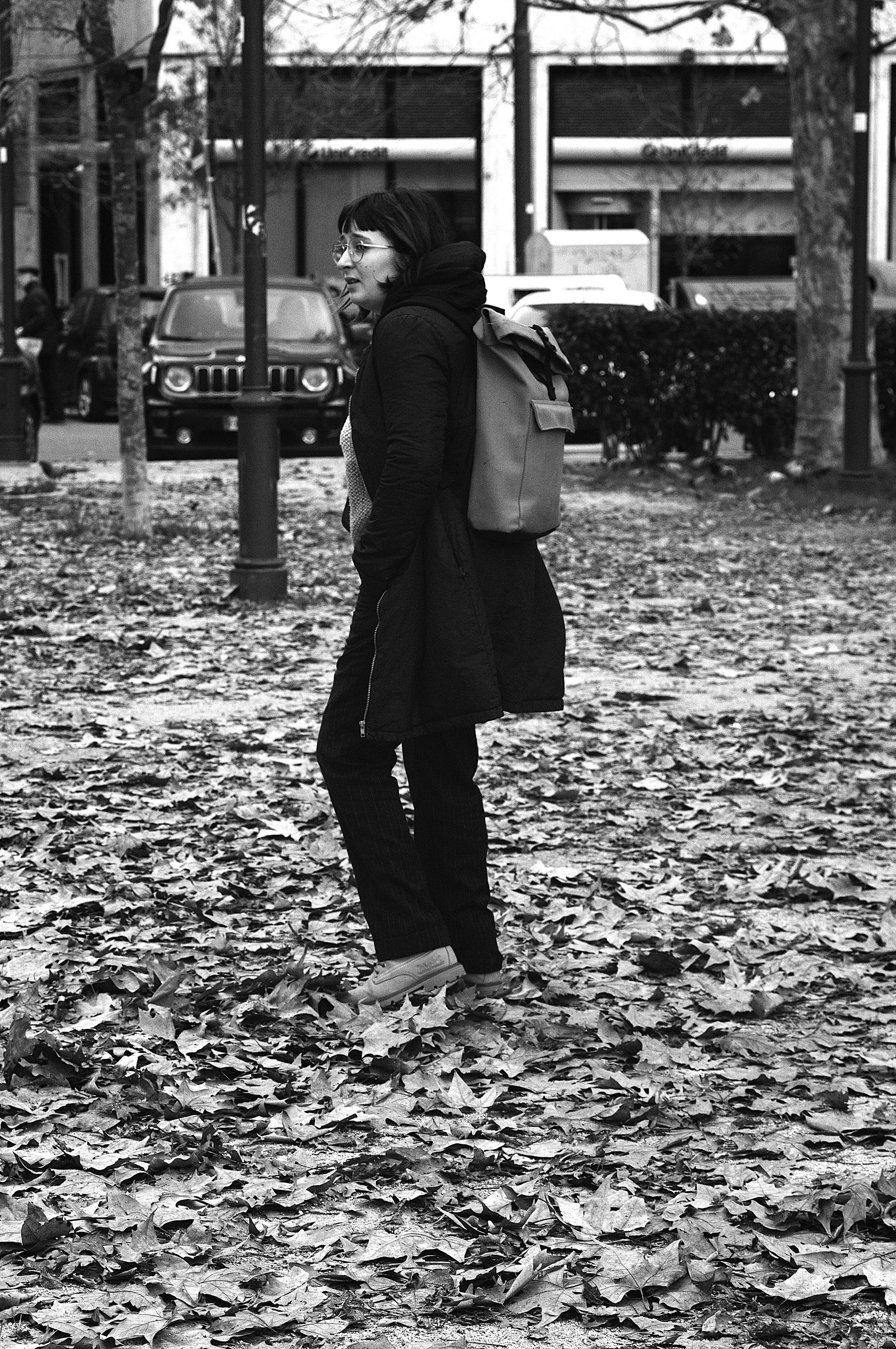 ali foglie morte_1881.JPG