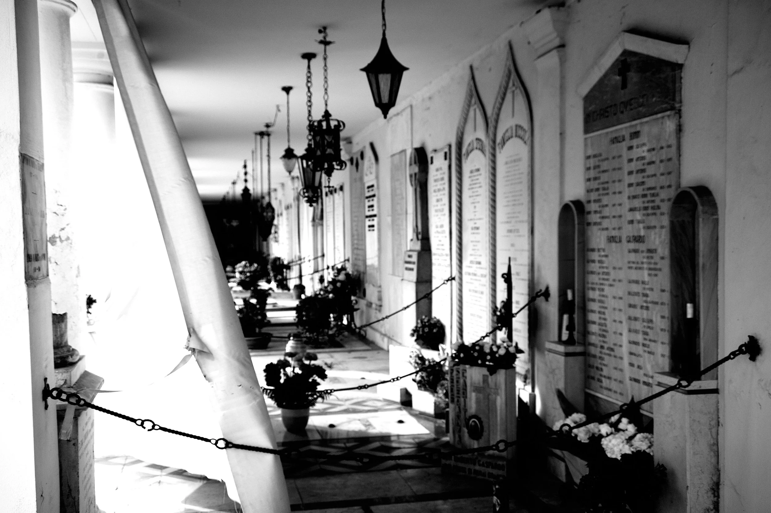 a cavallo a carnevale_4836.JPG