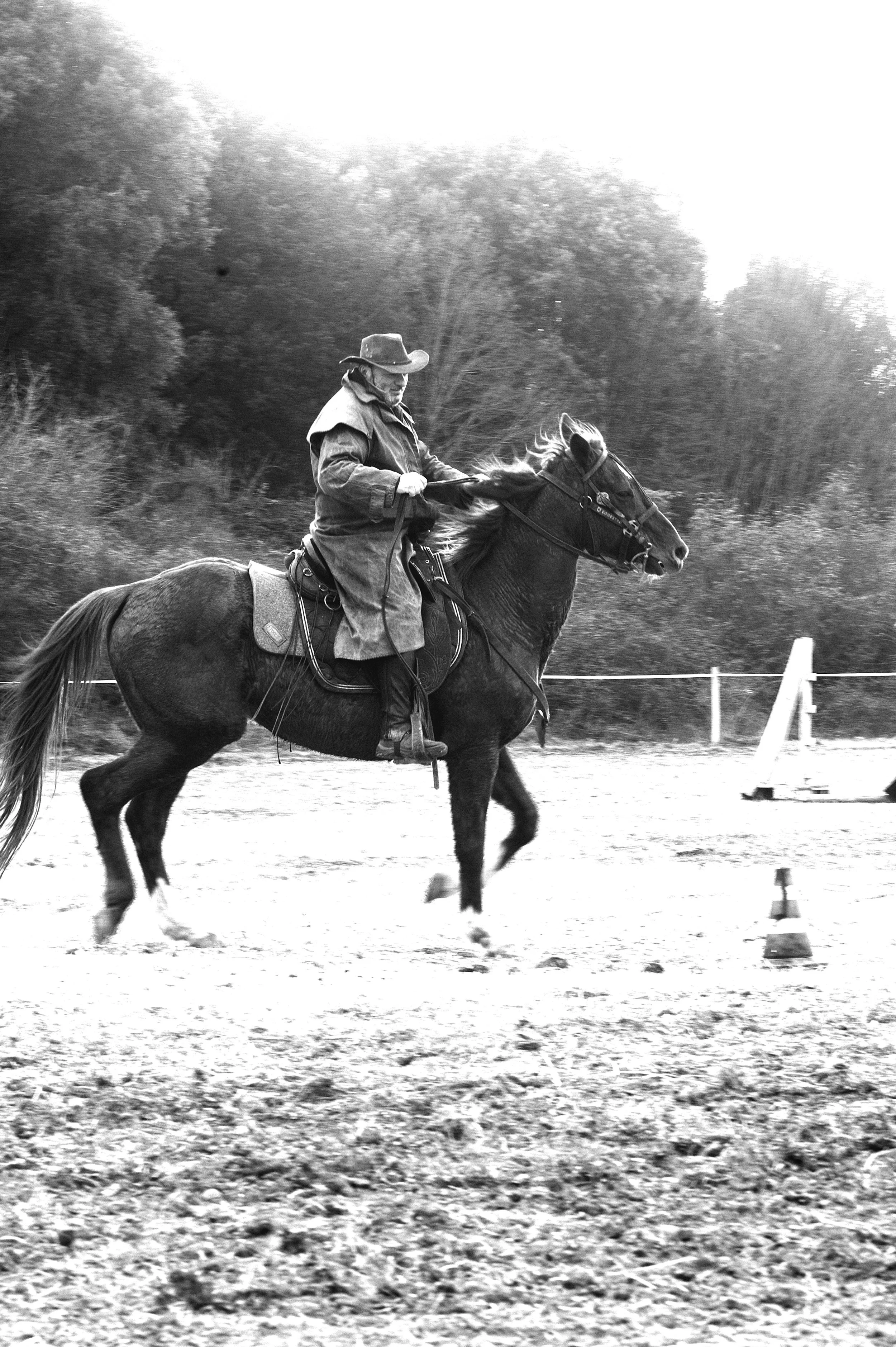 a cavallo a carnevale_4665.JPG