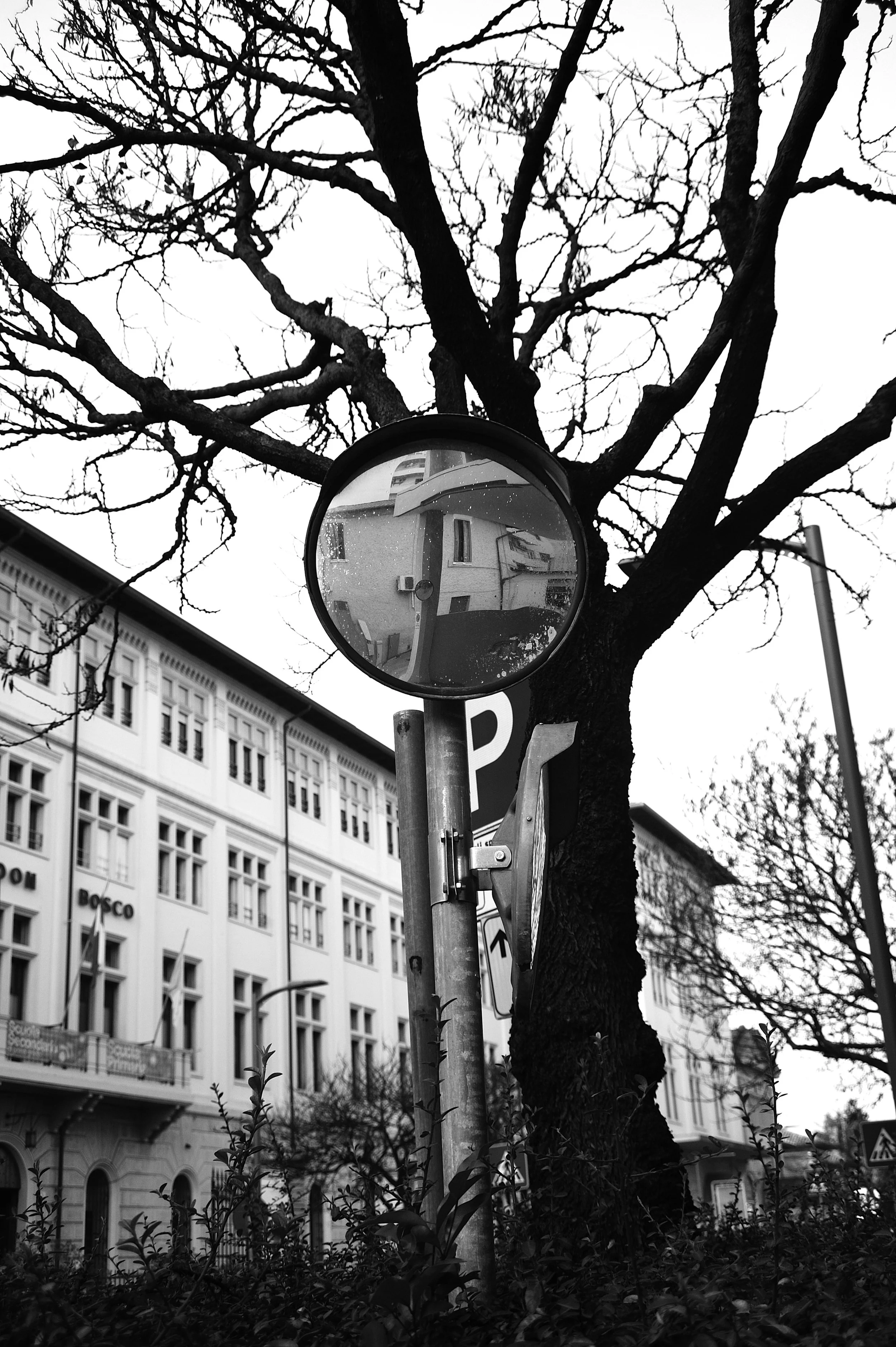 a cavallo a carnevale_4768.JPG