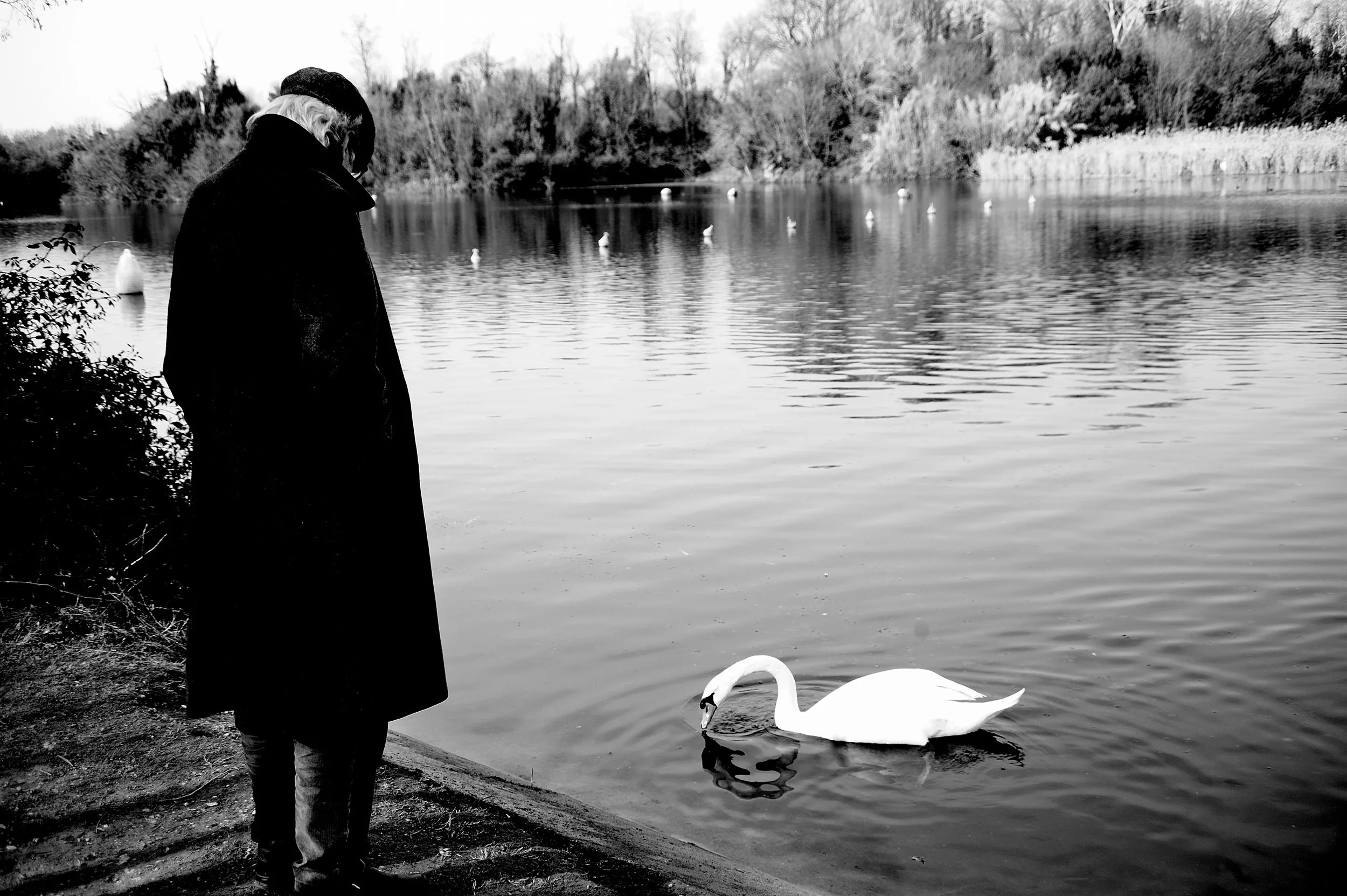 a cavallo a carnevale_4944.JPG