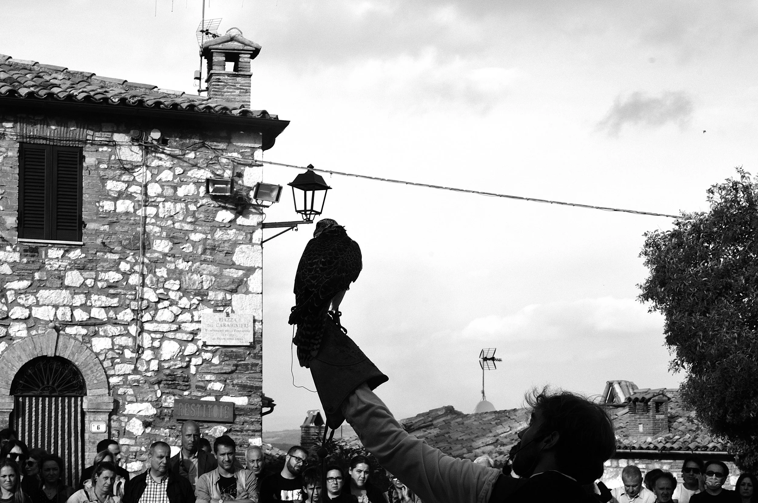 a cavallo a carnevale_5193.JPG