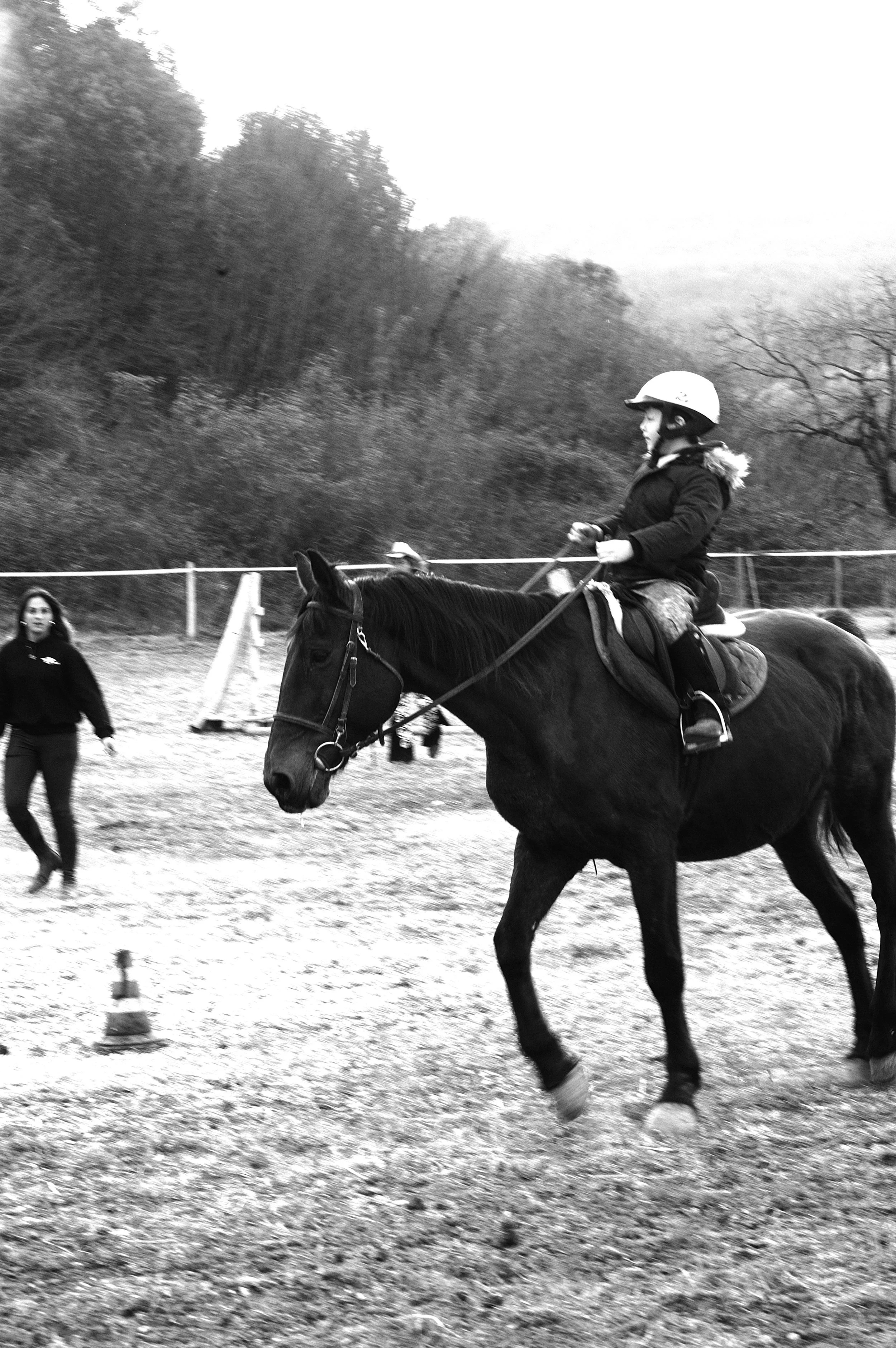 a cavallo a carnevale_4659.JPG