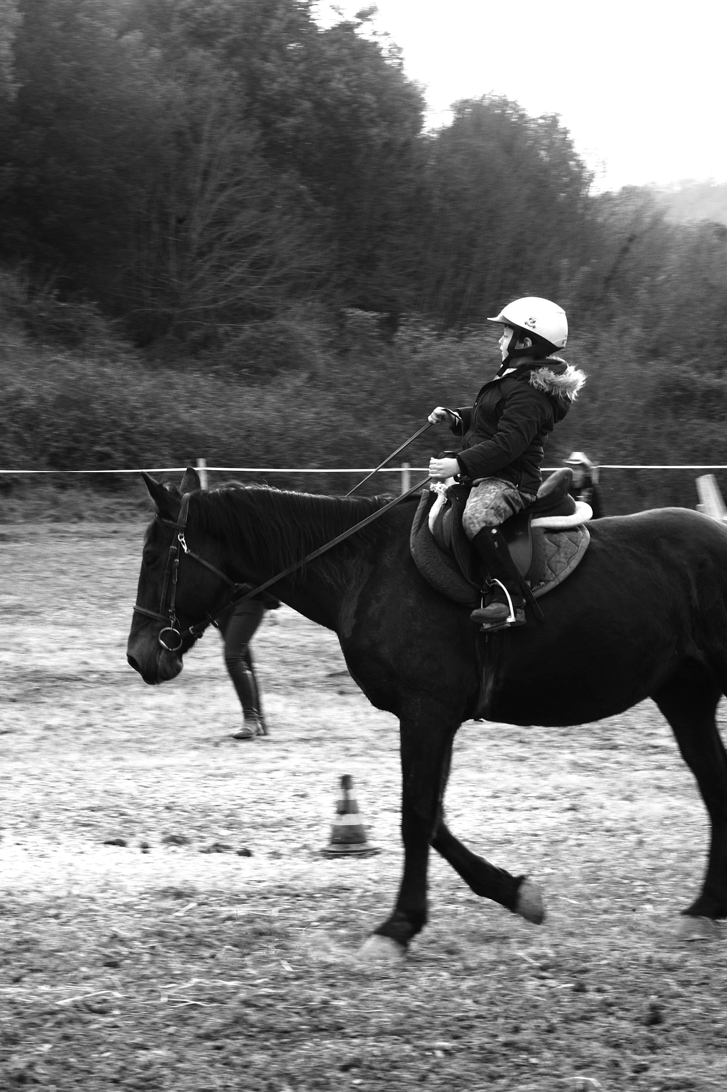a cavallo a carnevale_4660.JPG