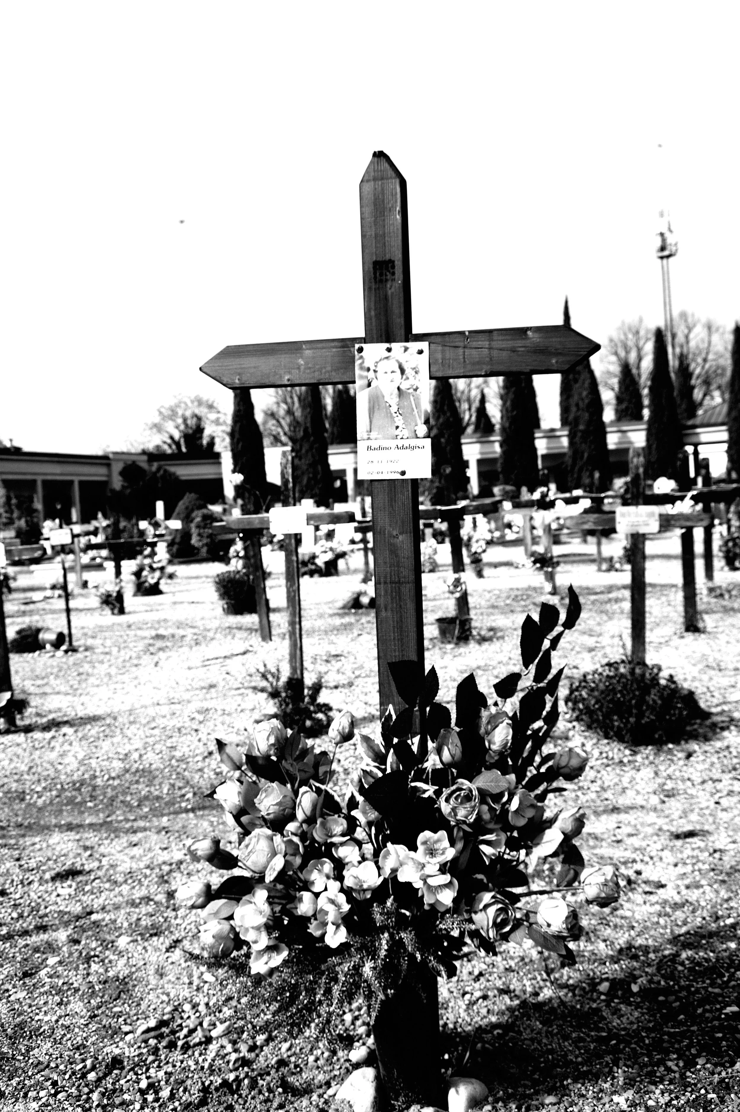 a cavallo a carnevale_4830.JPG