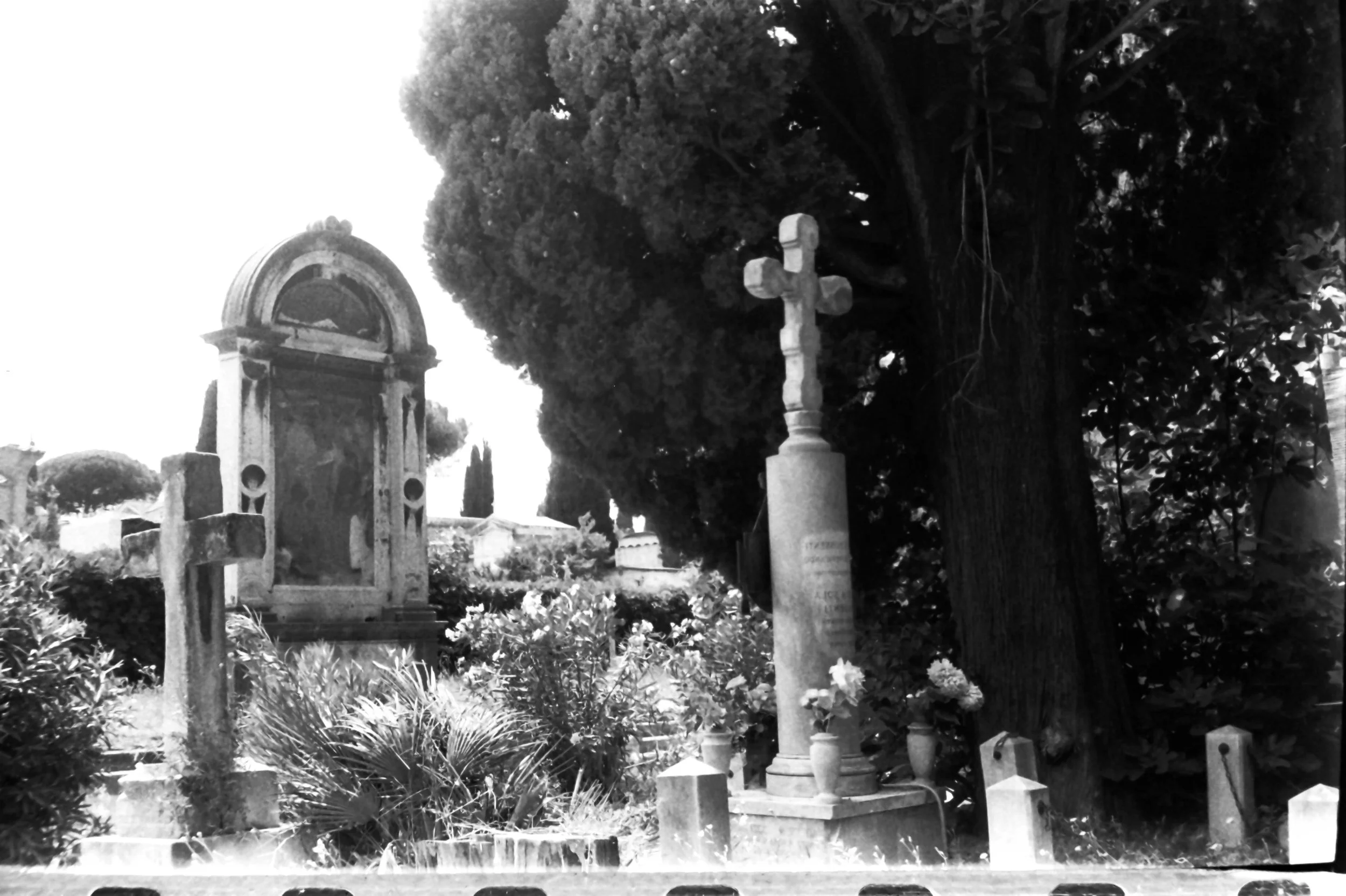 cdm mario paola_8137.JPG