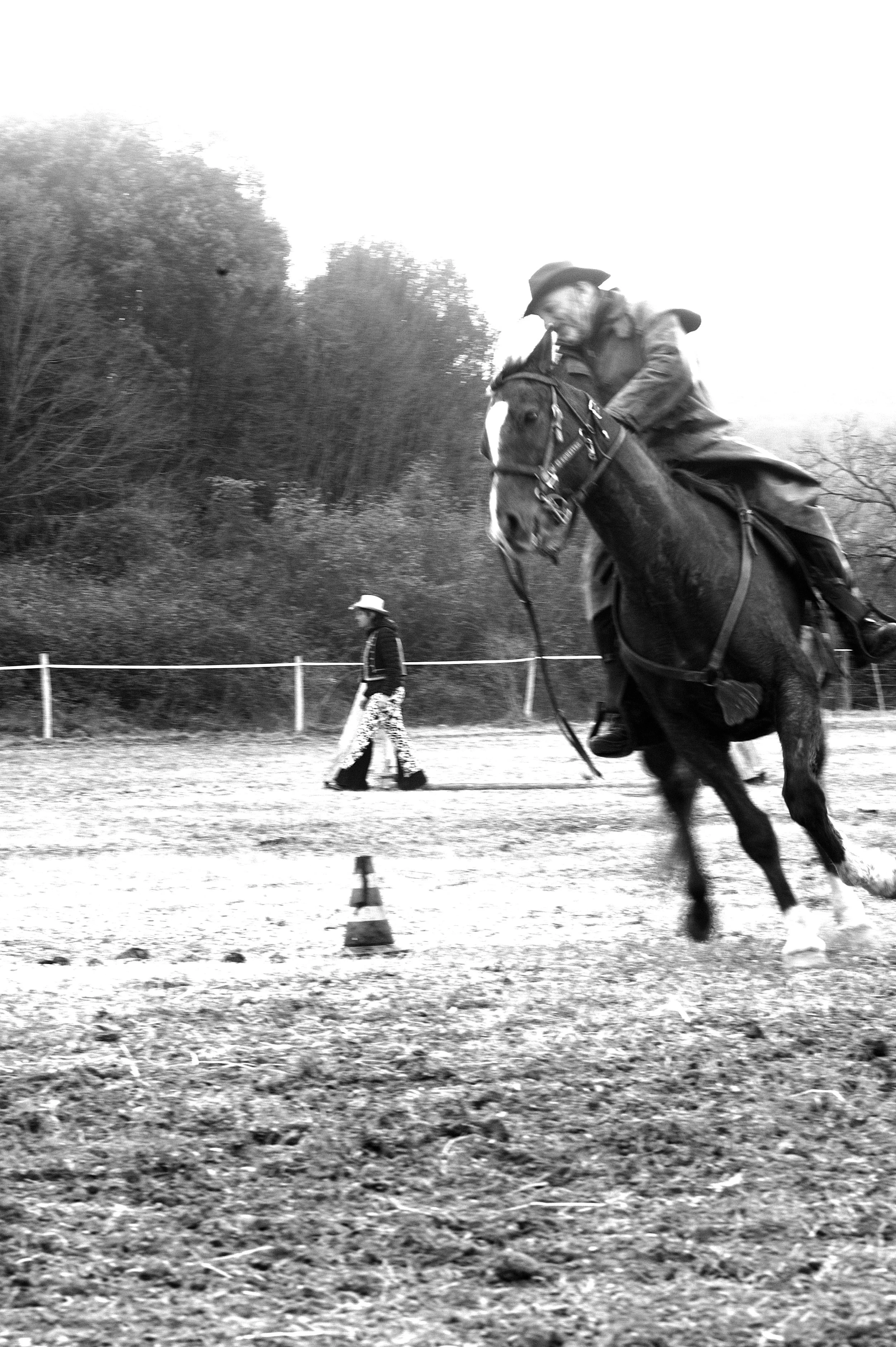 a cavallo a carnevale_4666.JPG
