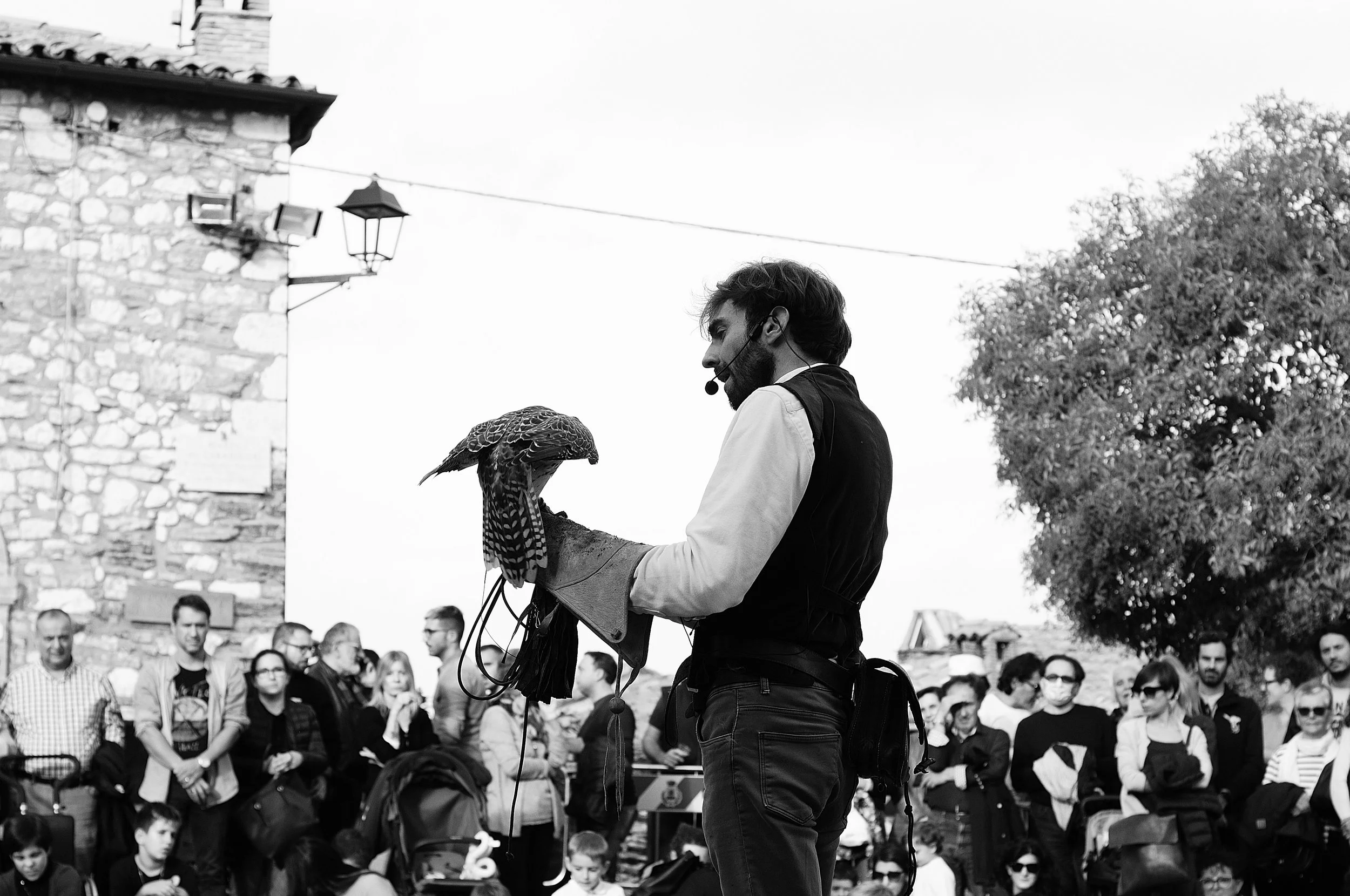 a cavallo a carnevale_5198.JPG