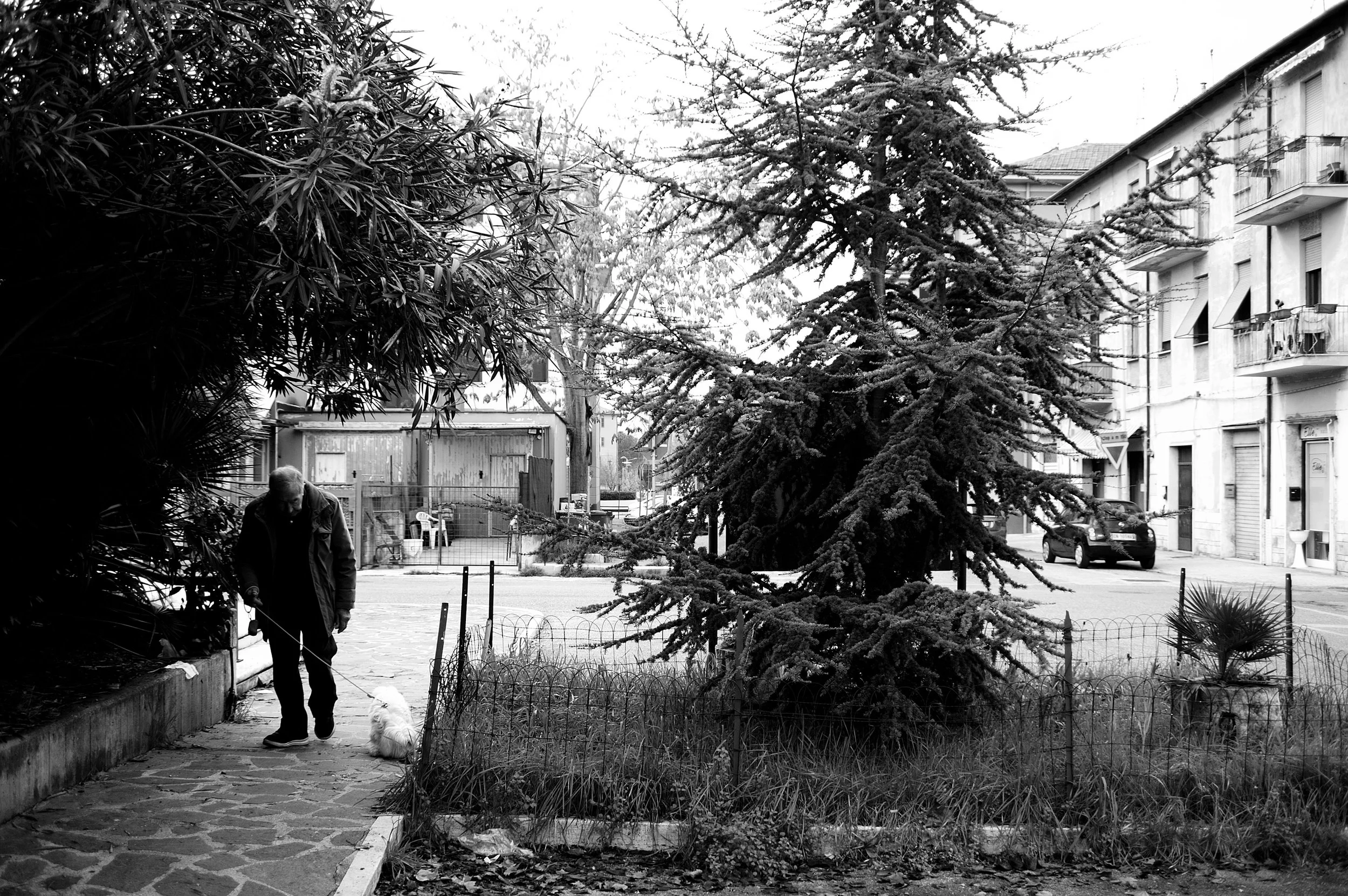 quartiere italia _3065.JPG