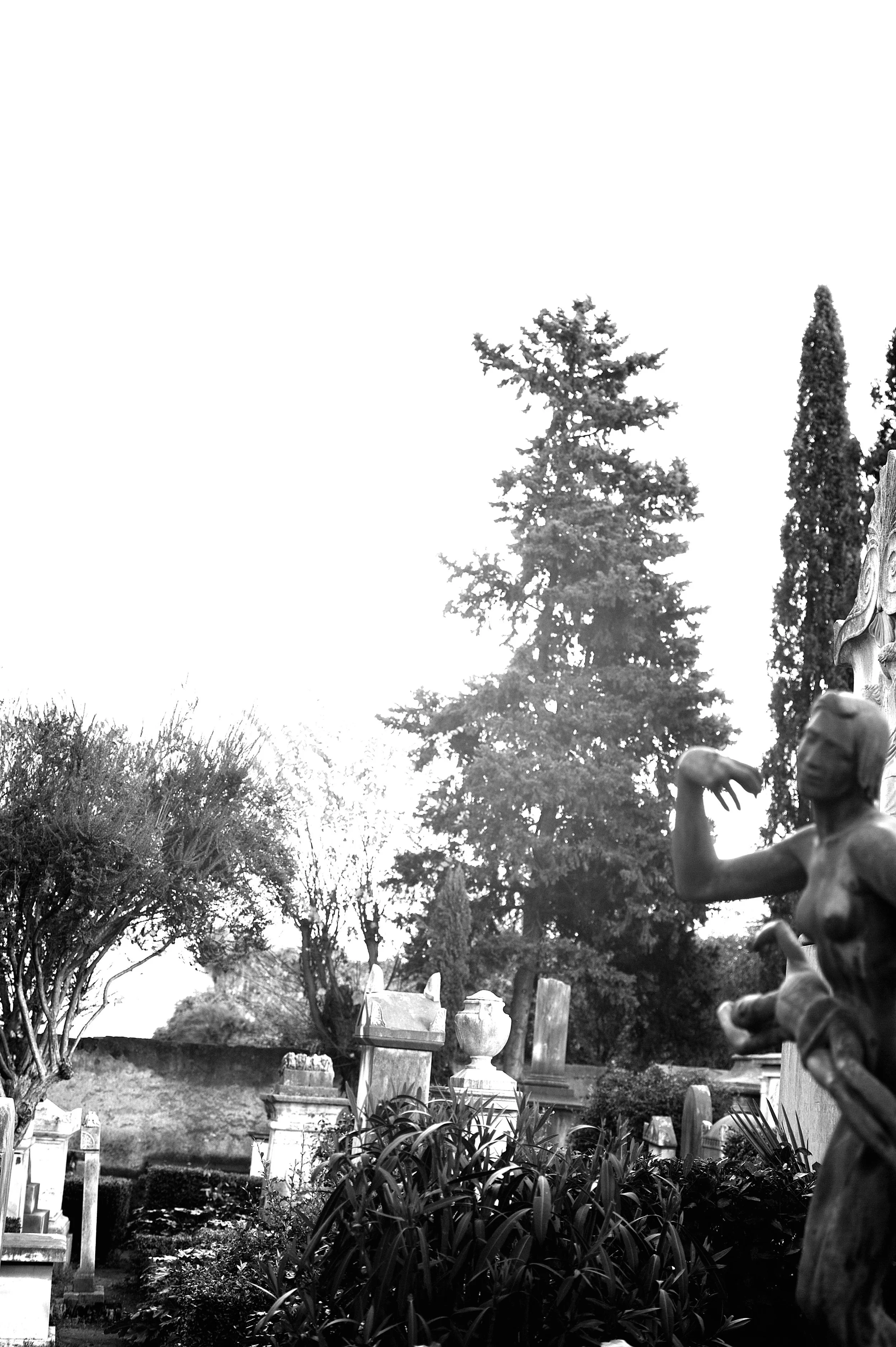 acattolico statua_2104.JPG