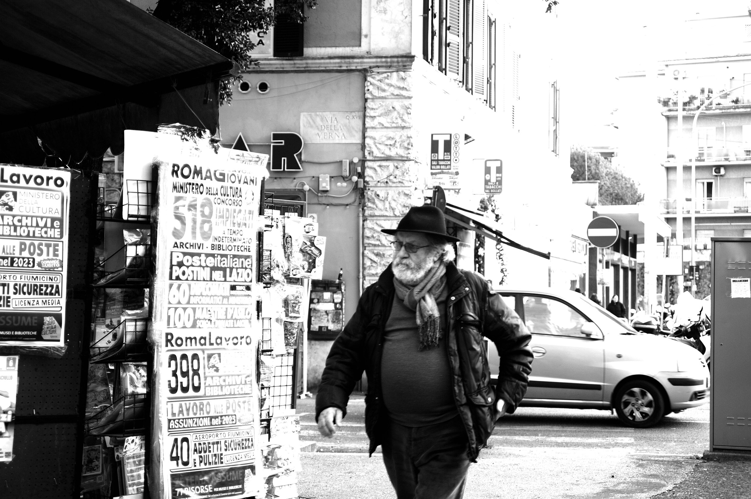 barbuto adriatico_3252.JPG