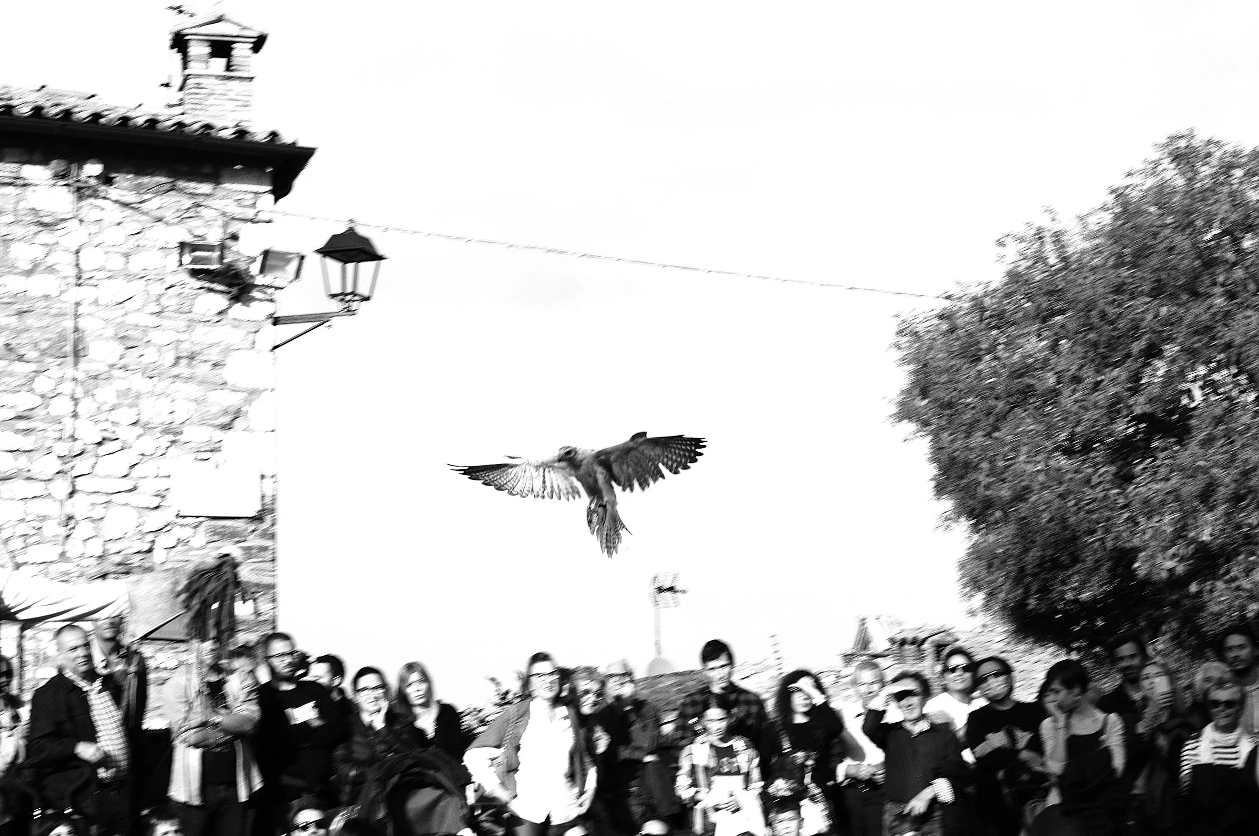 a cavallo a carnevale_5197.JPG