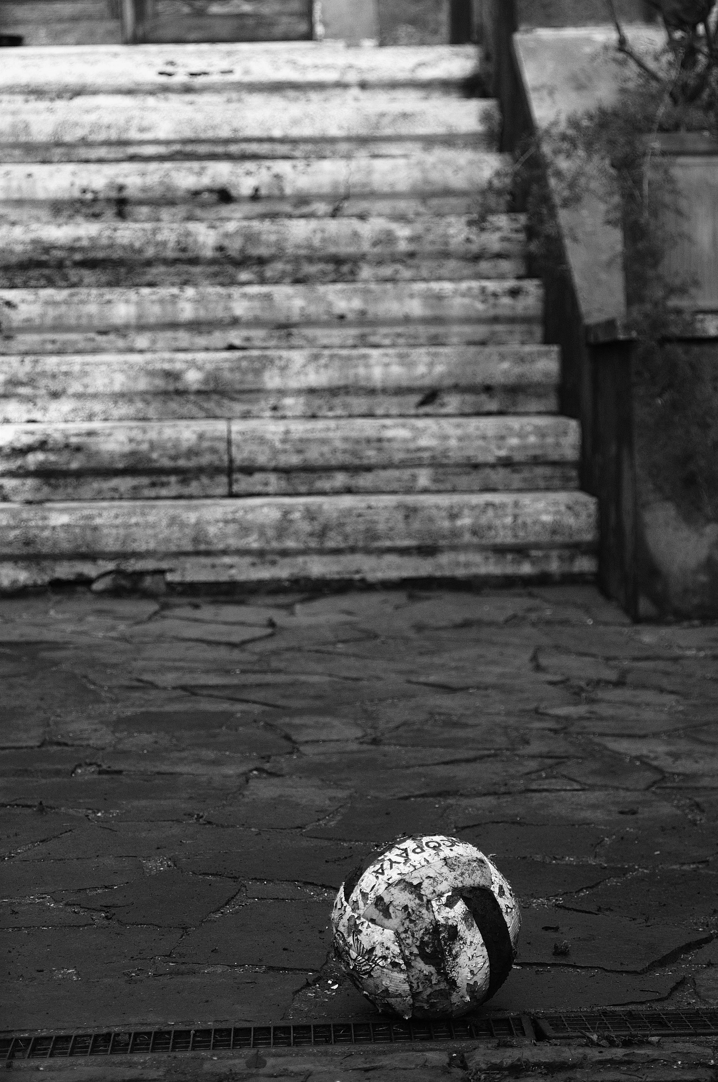 montesacro pallone_1288.JPG