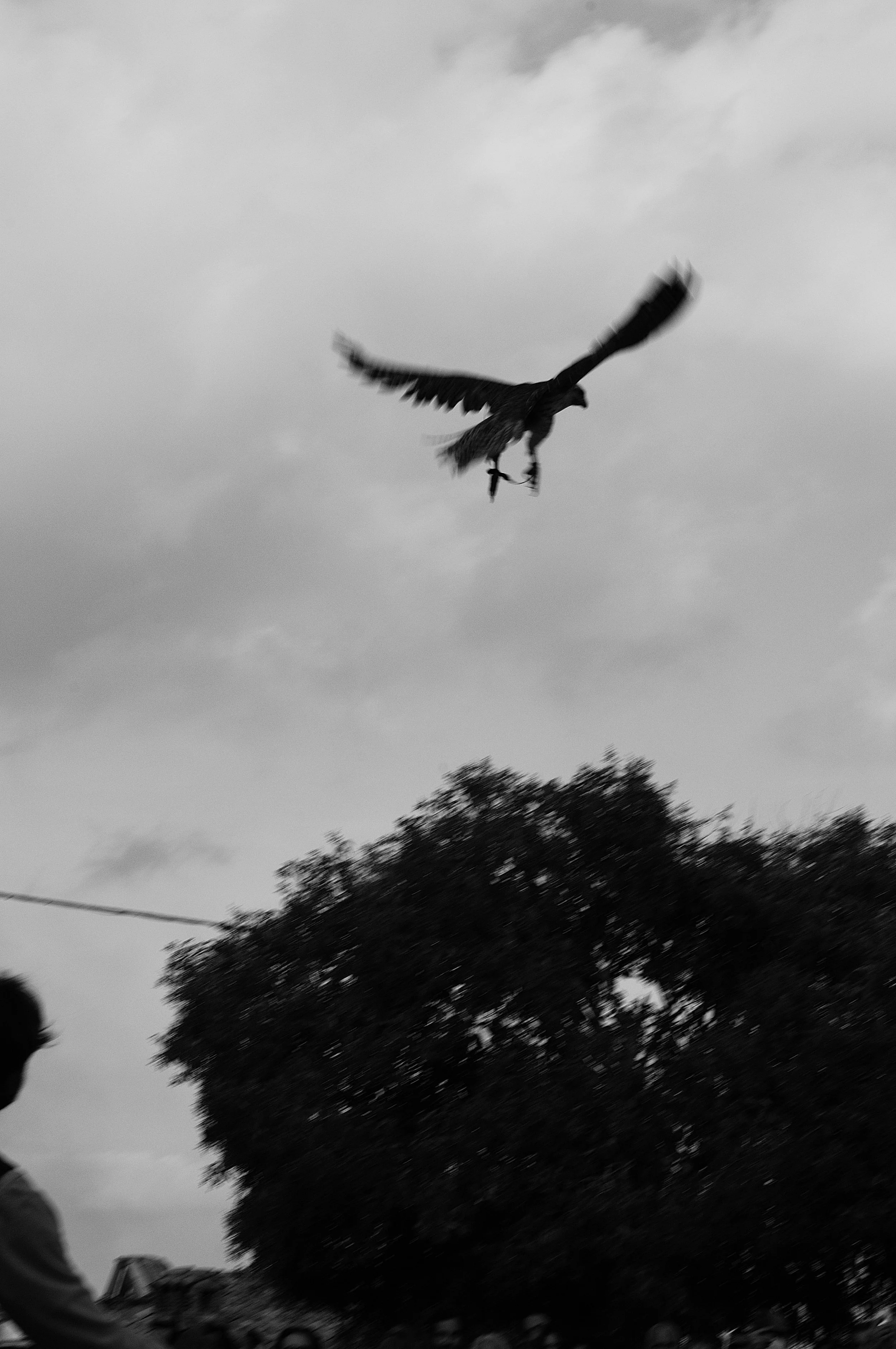 a cavallo a carnevale_5194.JPG