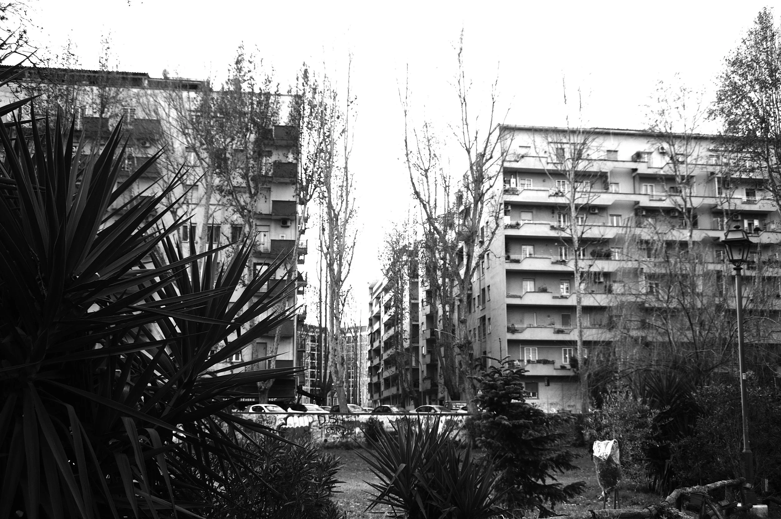 espero_3850.JPG