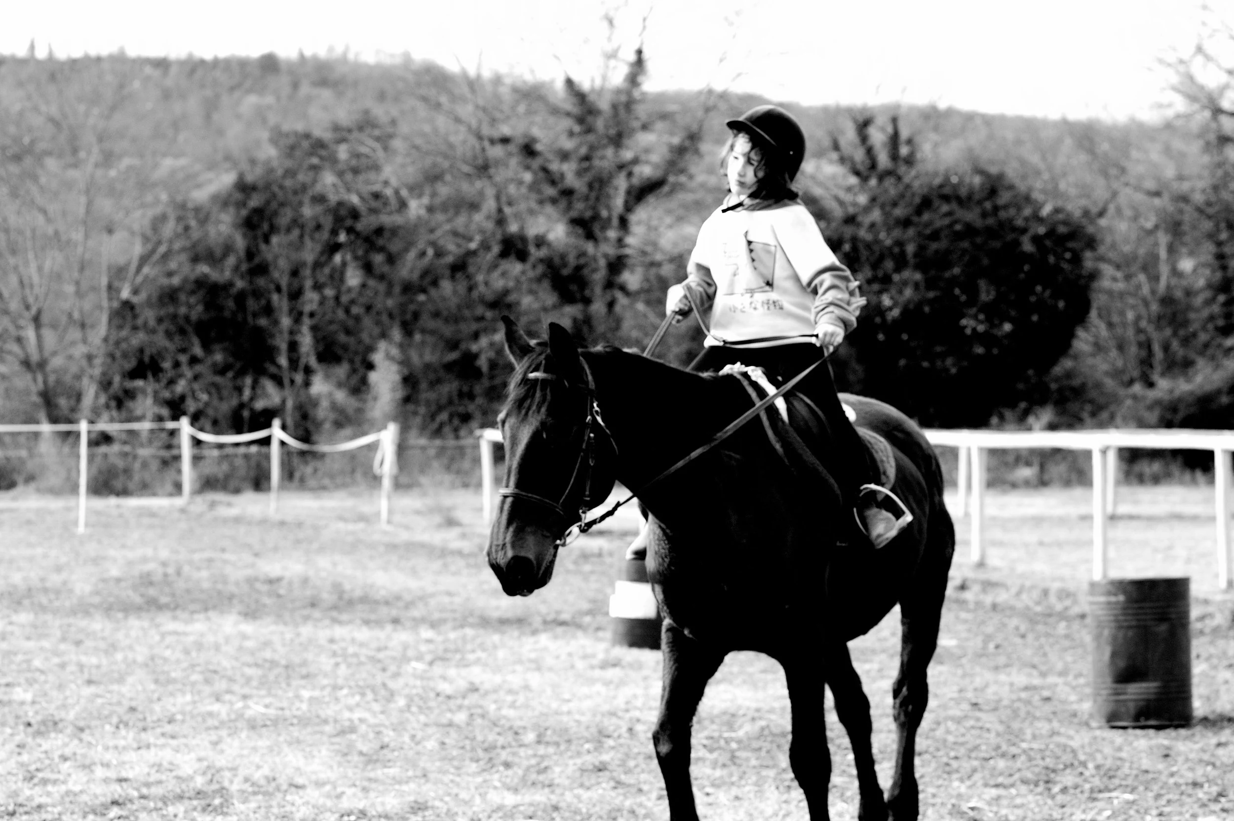 a cavallo a carnevale_4609.JPG