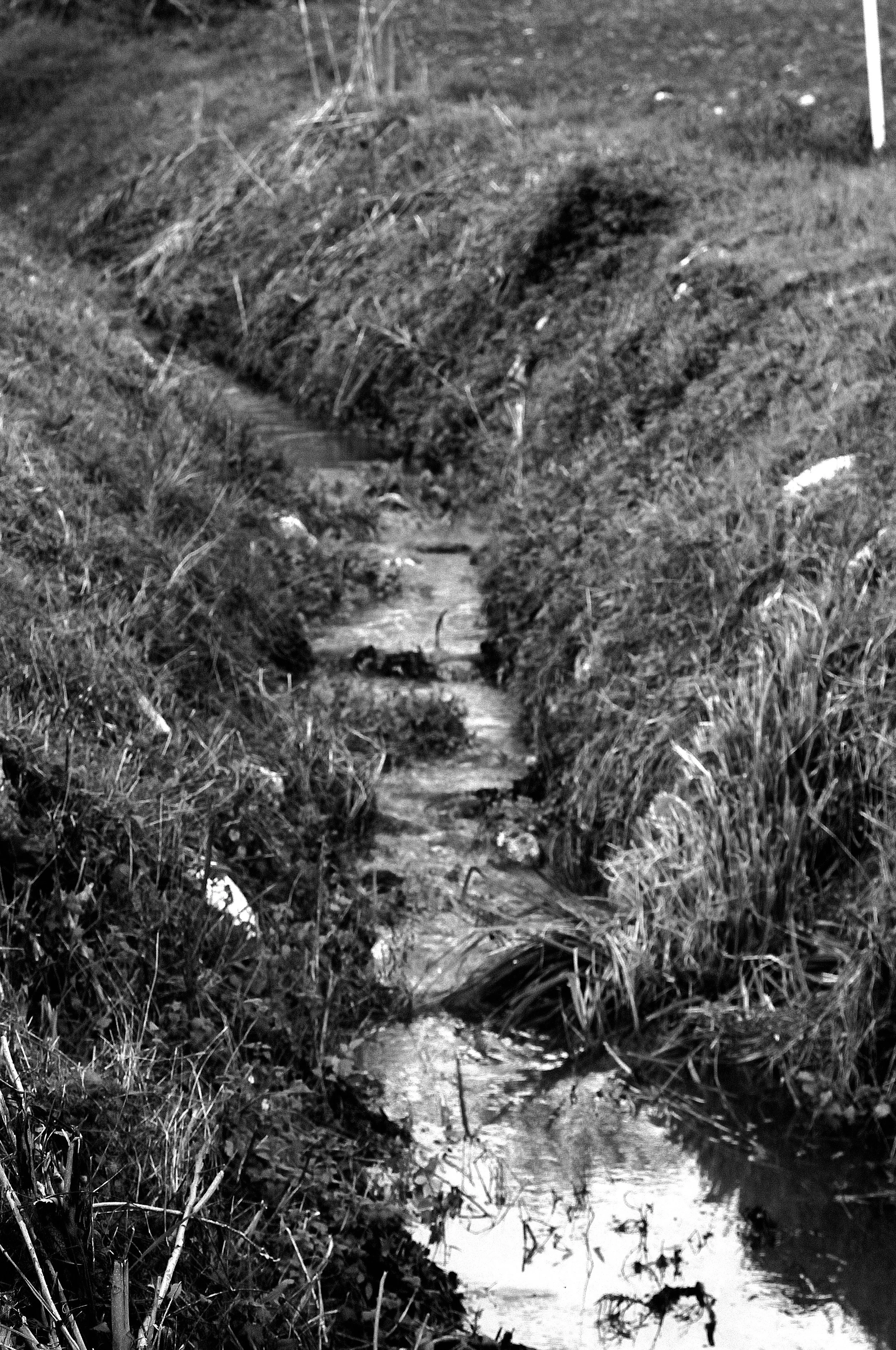 fosso delle streghe_891.JPG