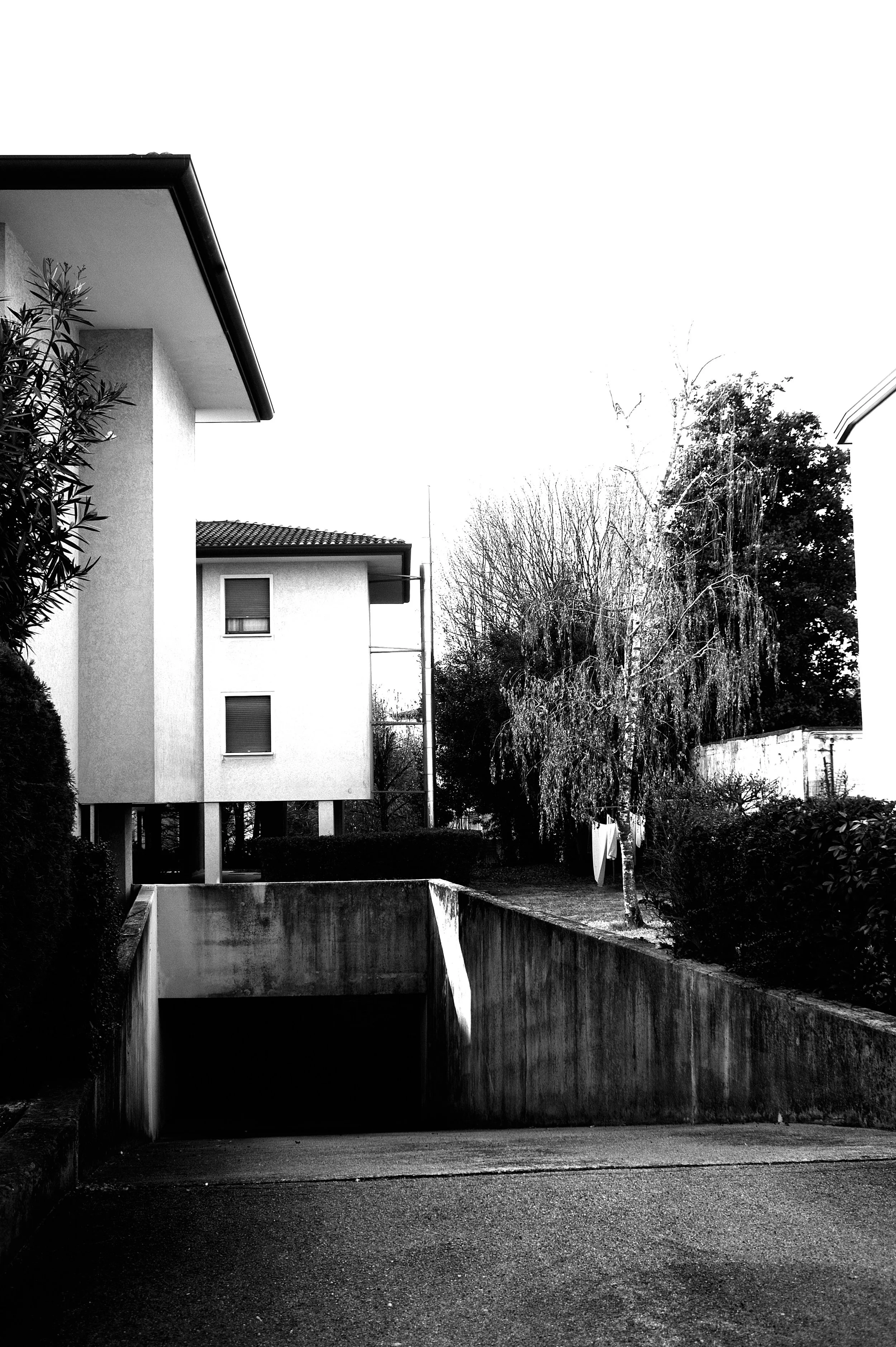 a cavallo a carnevale_4956.JPG