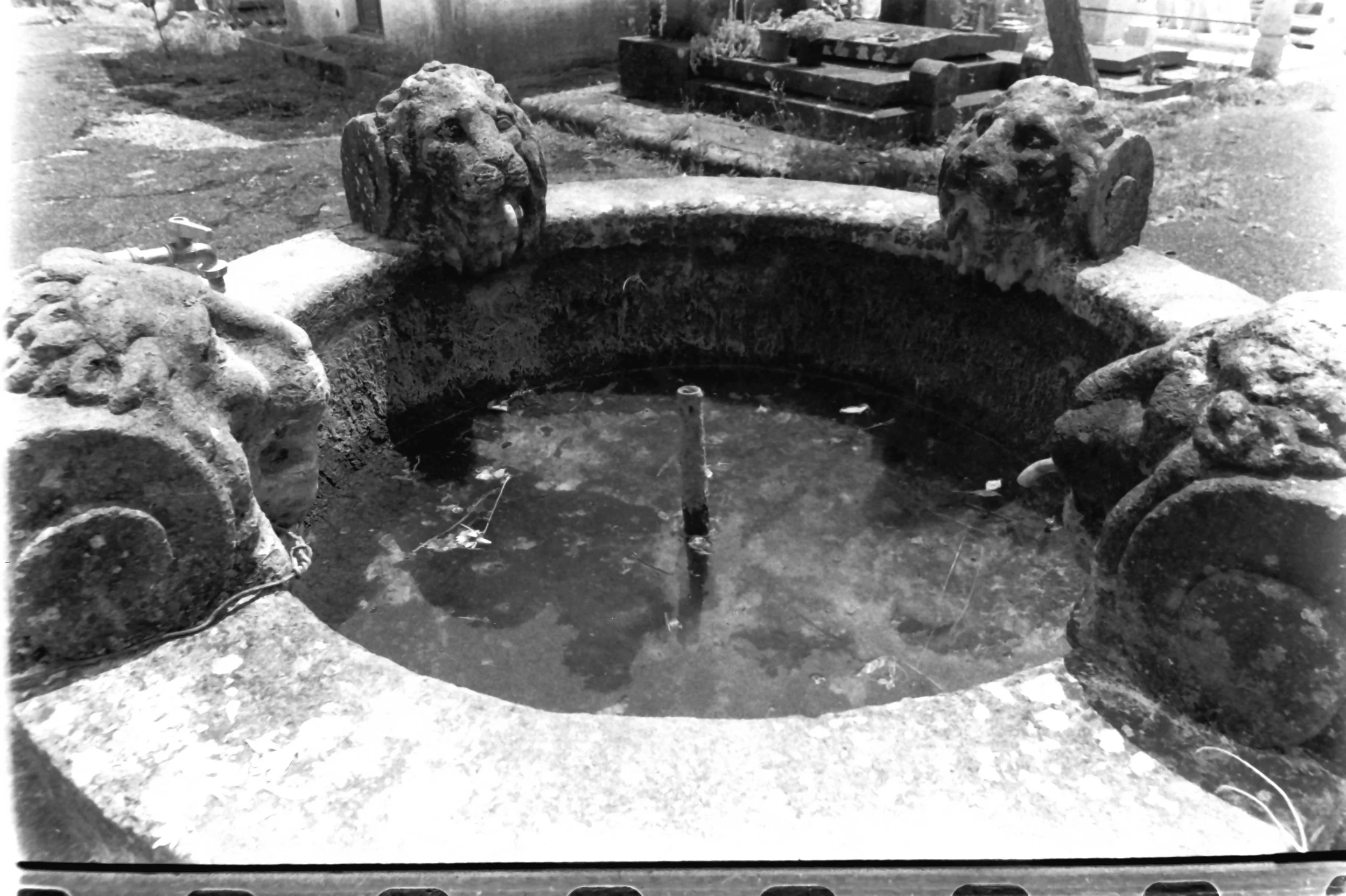 verano roffeno norcia_8053.JPG