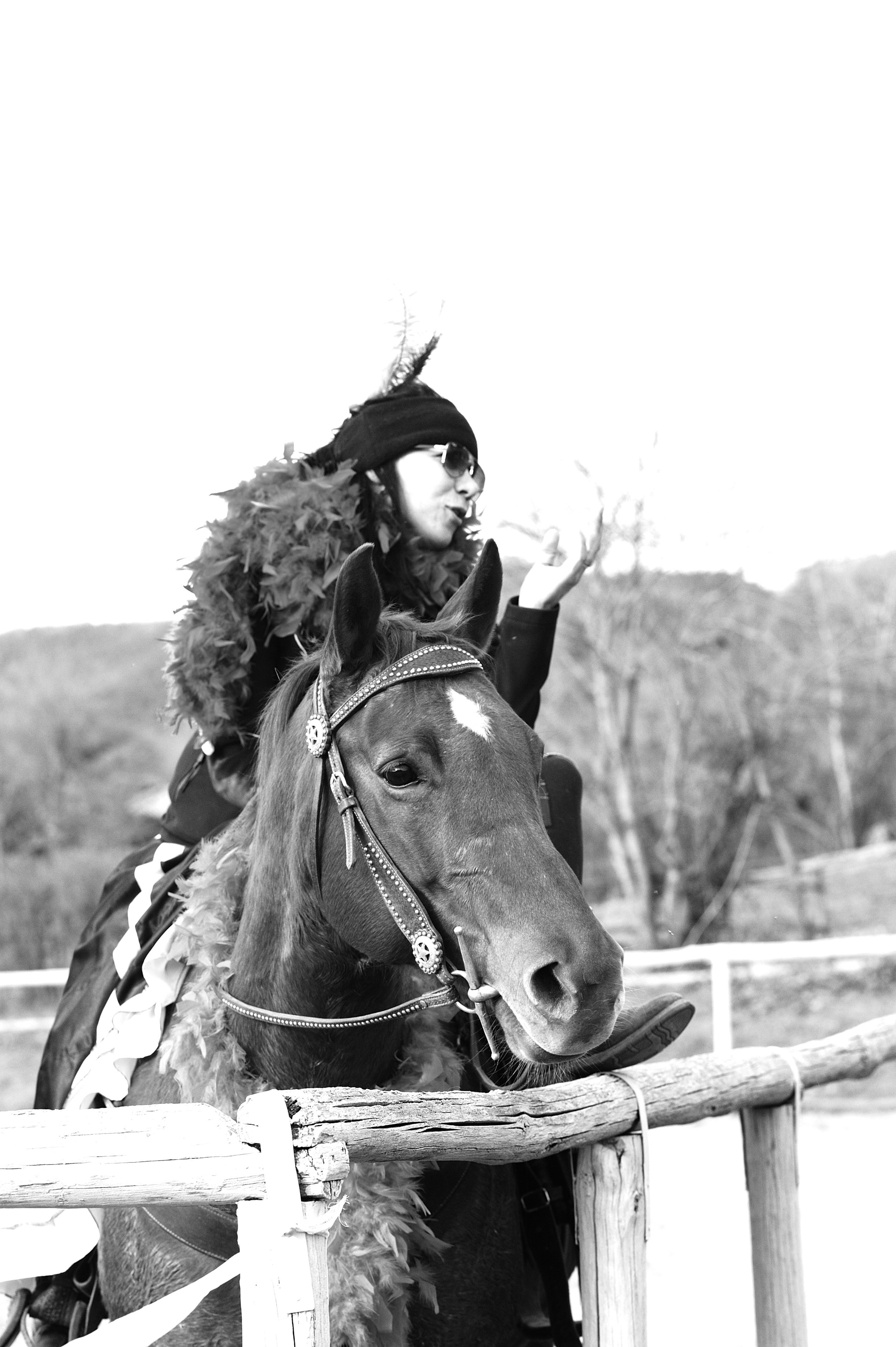 a cavallo a carnevale_4632.JPG