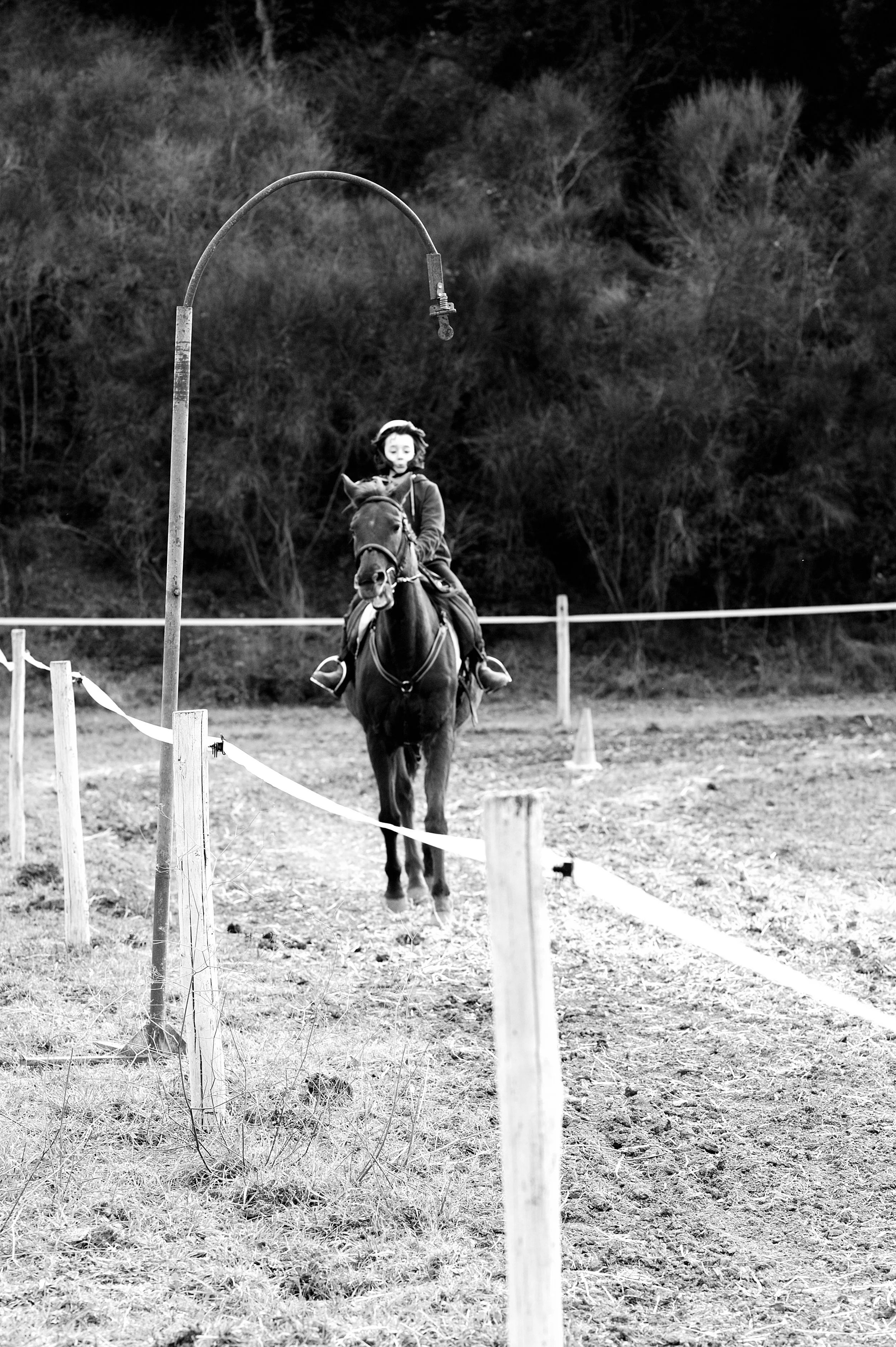 a cavallo a carnevale_4620.JPG