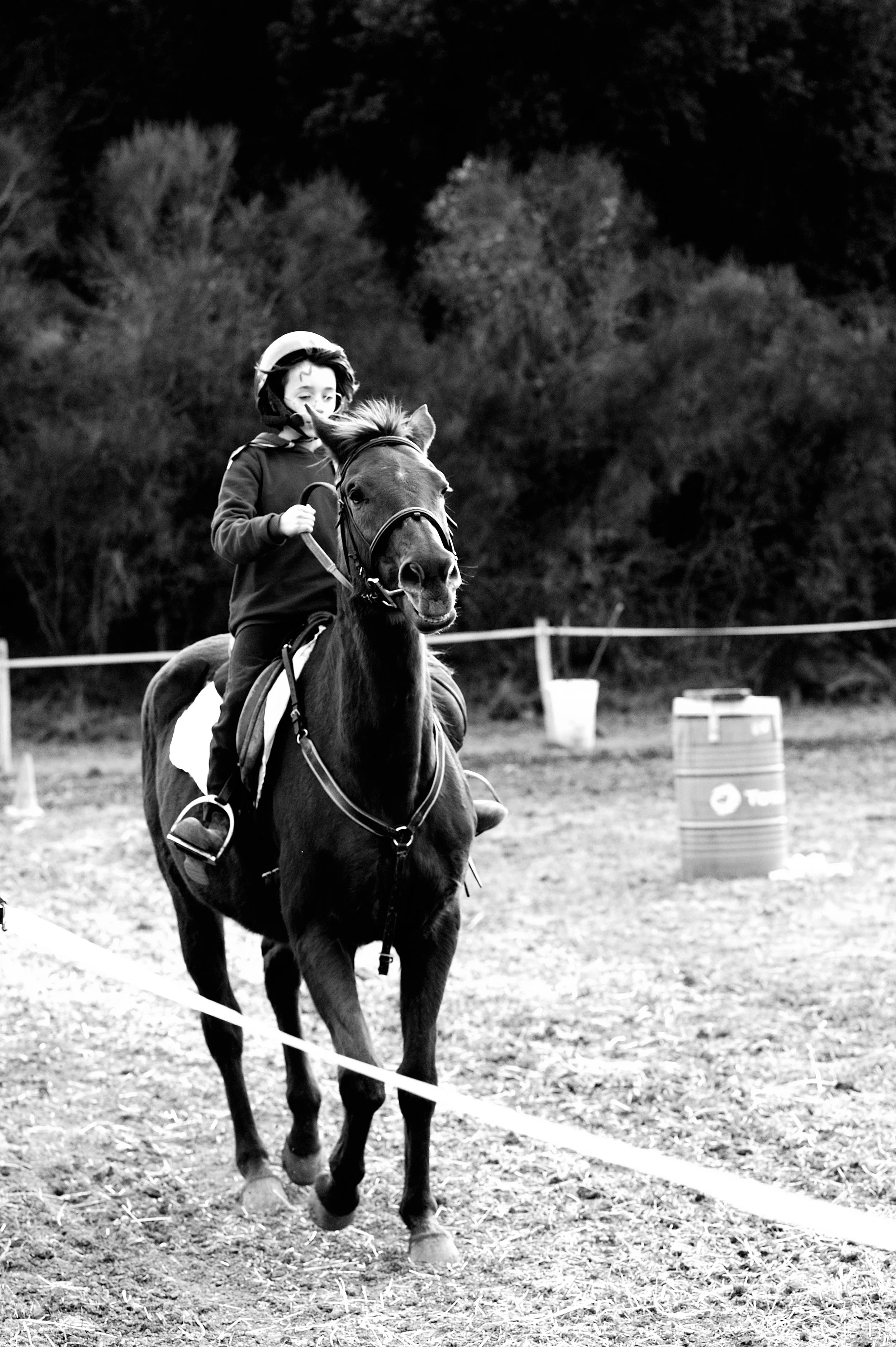 a cavallo a carnevale_4623.JPG
