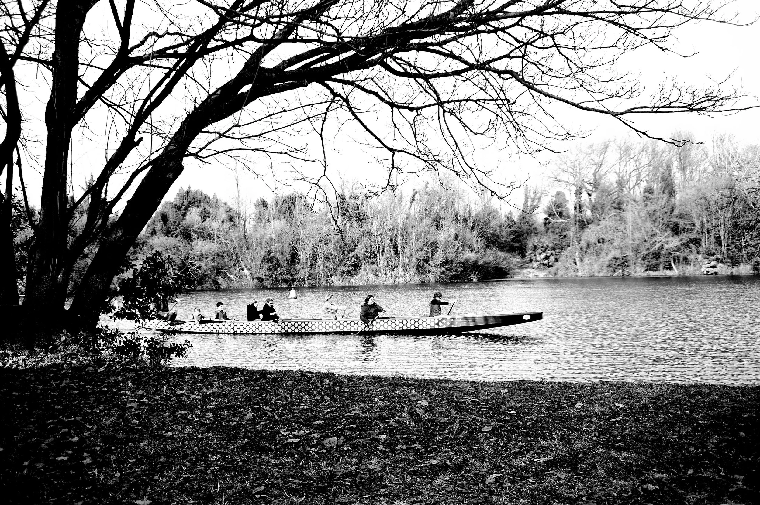 a cavallo a carnevale_4953.JPG