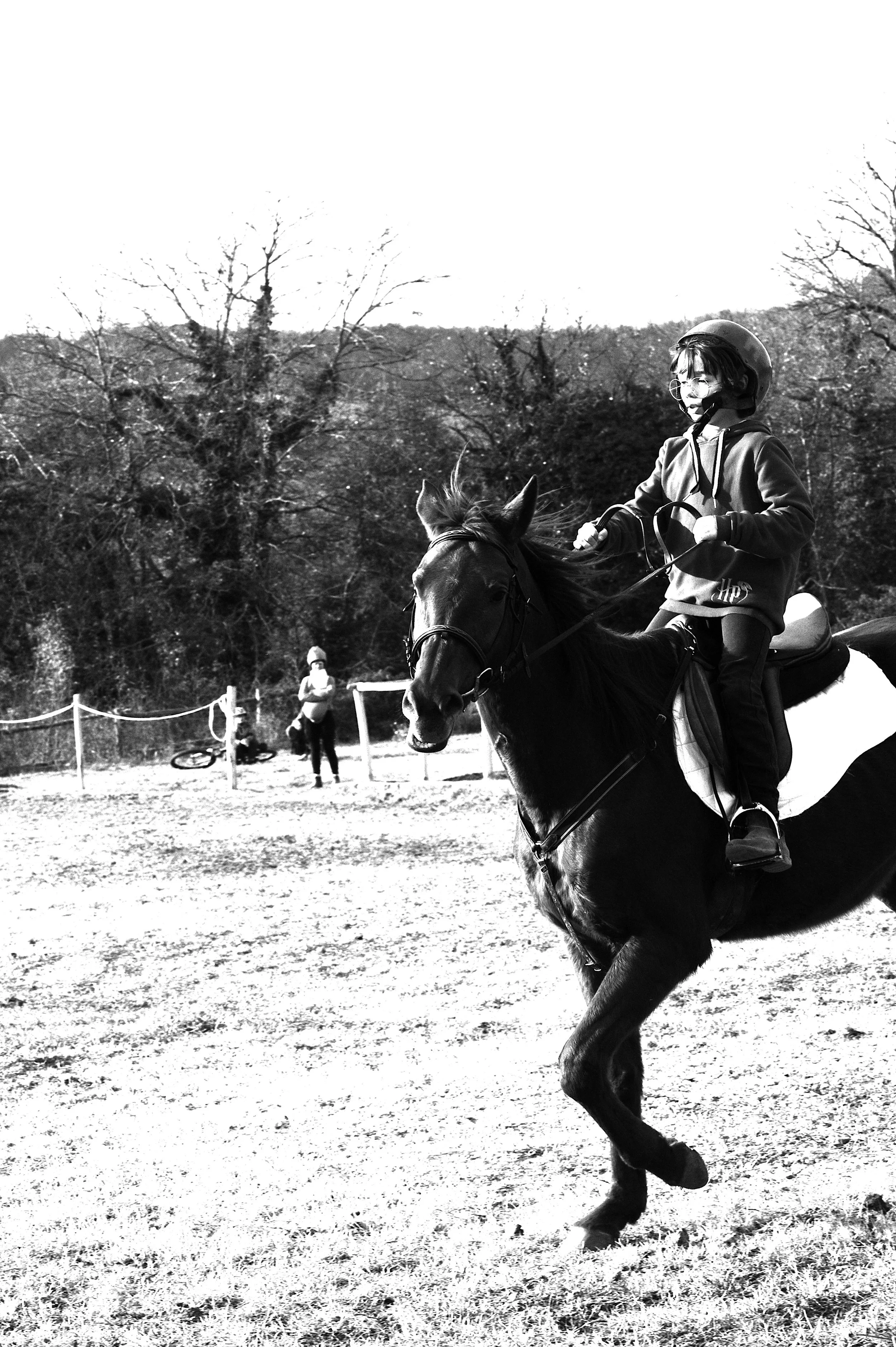 a cavallo a carnevale_4627.JPG