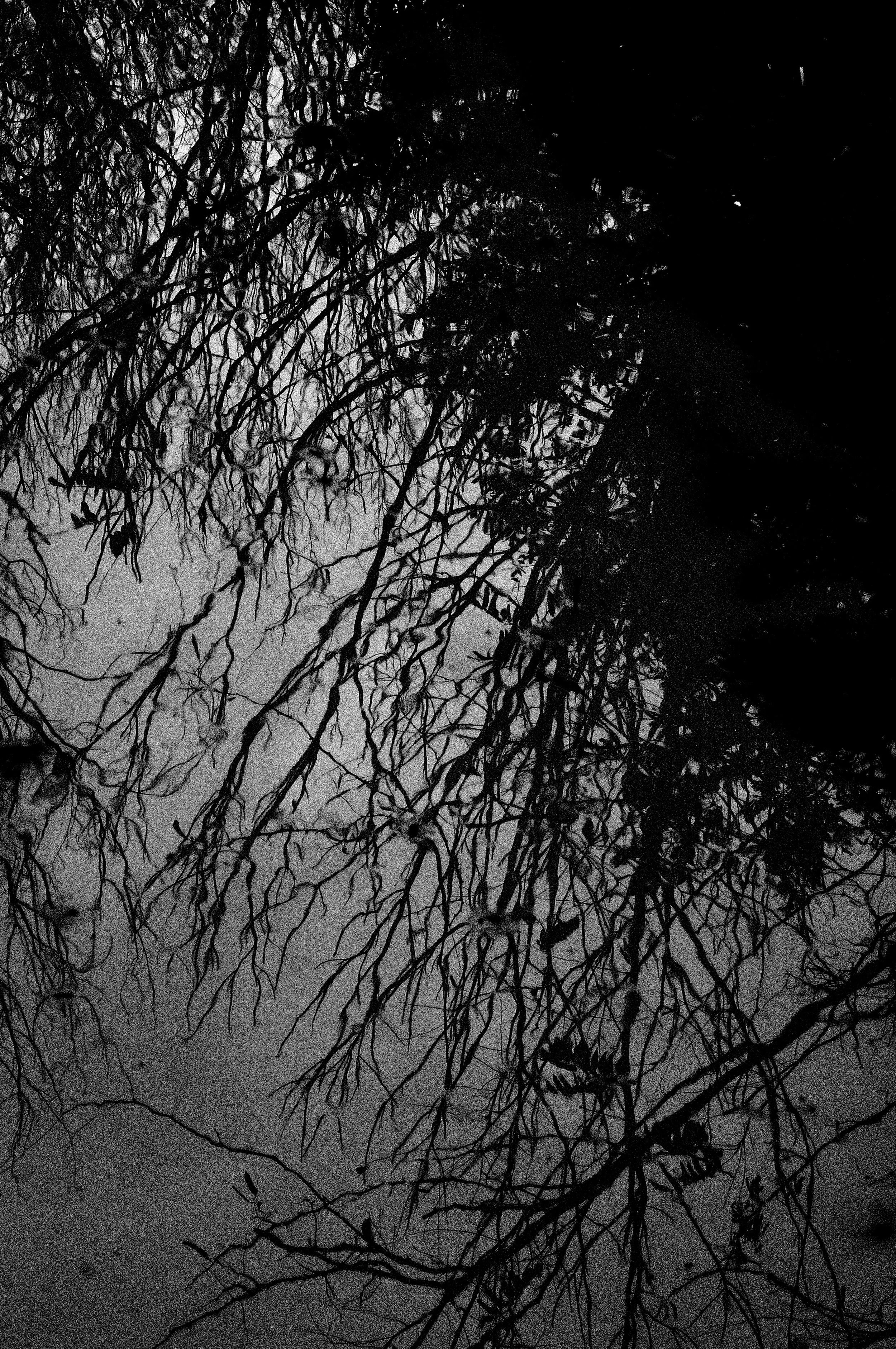 in una pozza_1410.JPG