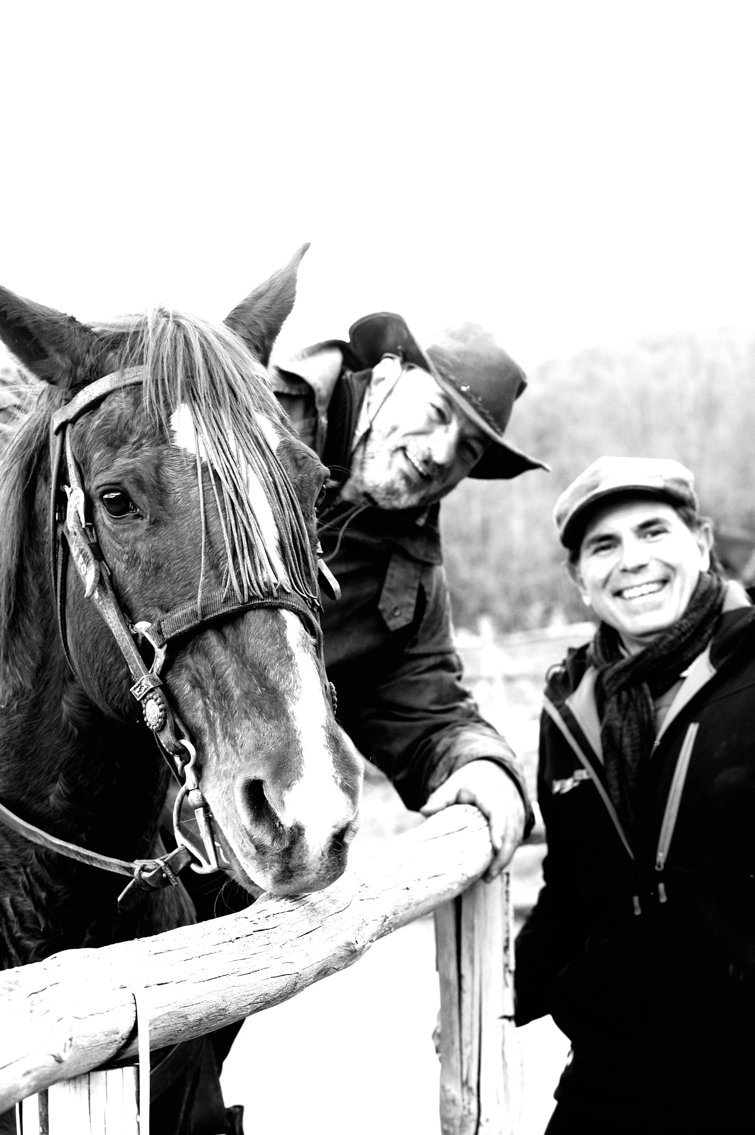 a cavallo a carnevale_4673.JPG